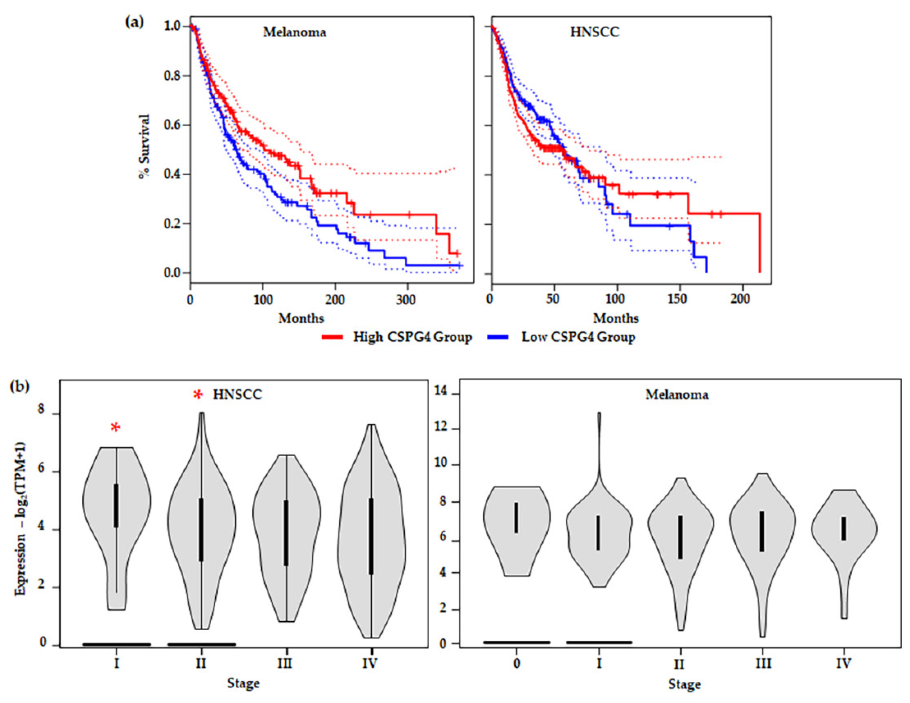 Cancers 14 05564 g005 Cancers 14 05564 g005
