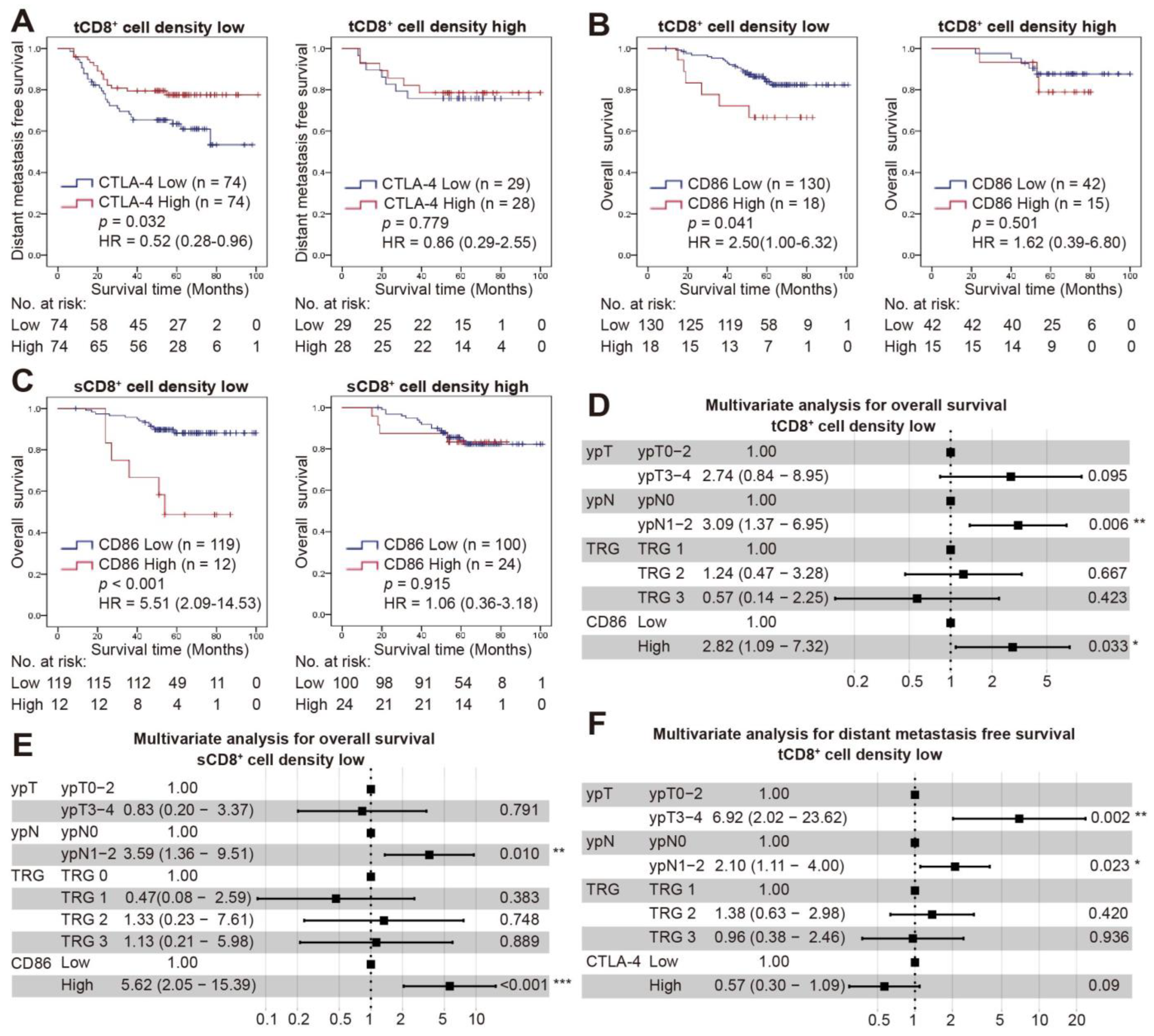 Cancers 14 05573 g004 Cancers 14 05573 g004