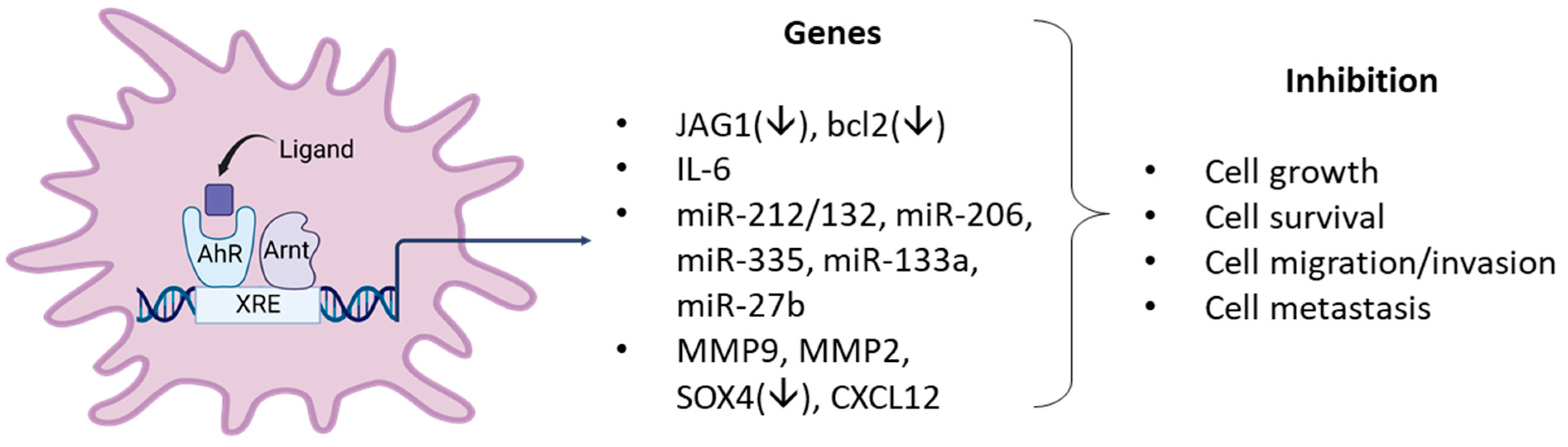 Cancers 14 05574 g004 Cancers 14 05574 g004