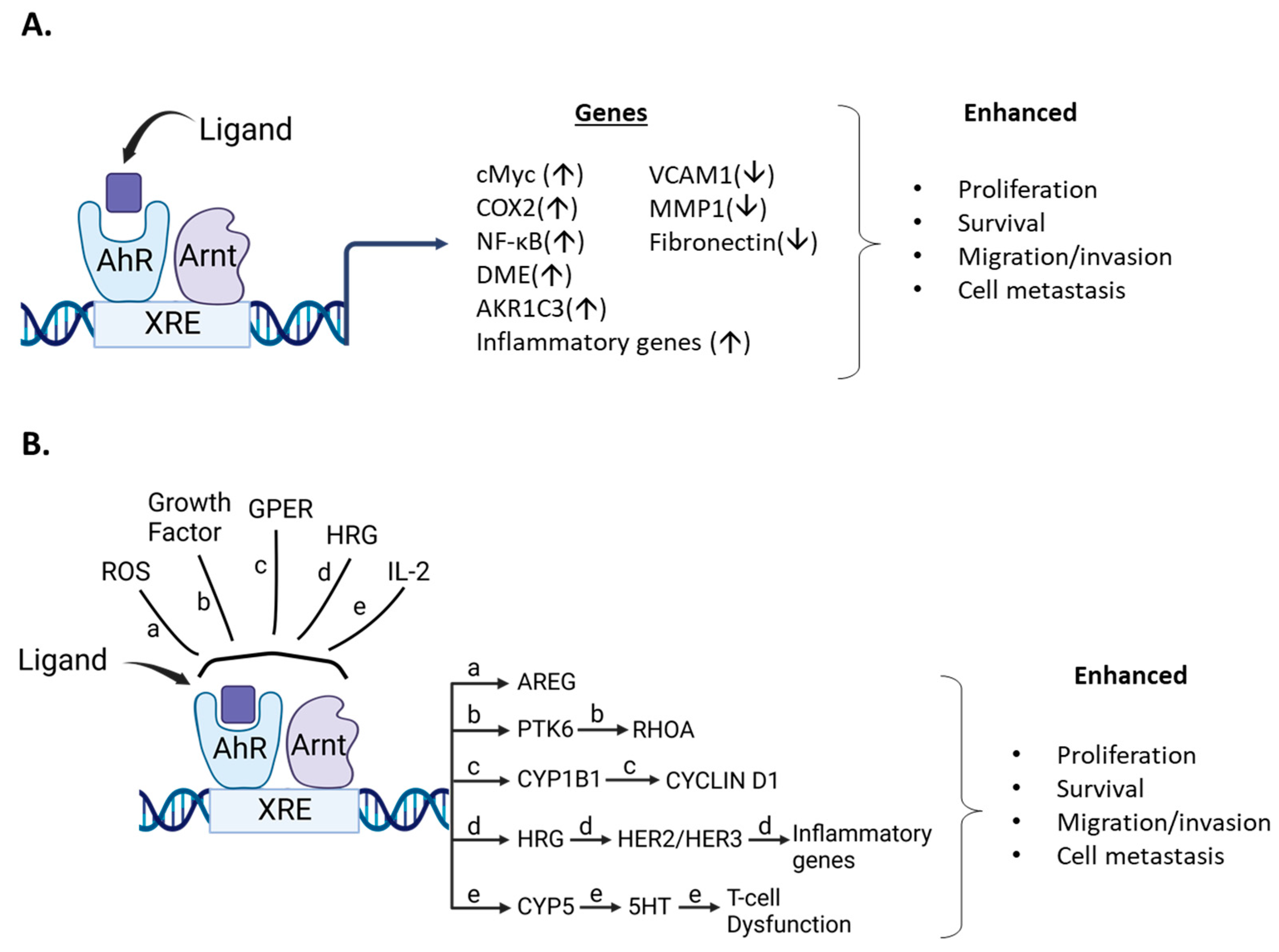 Cancers 14 05574 g005 Cancers 14 05574 g005
