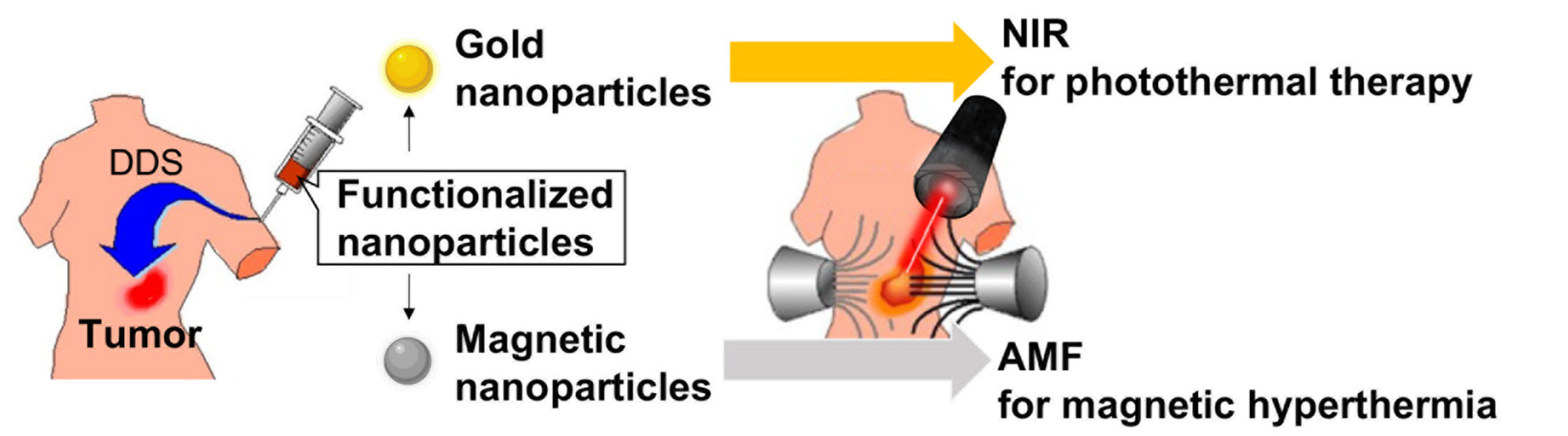 Cancers 14 05588 g003