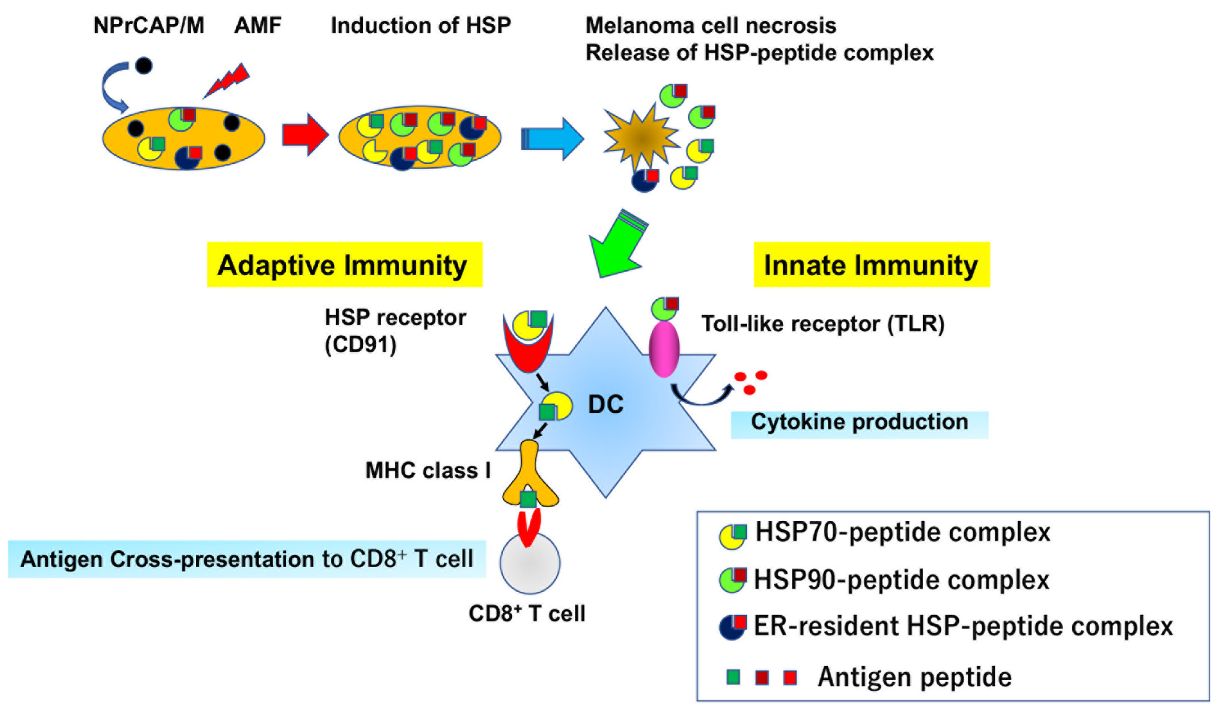 Cancers 14 05588 g009