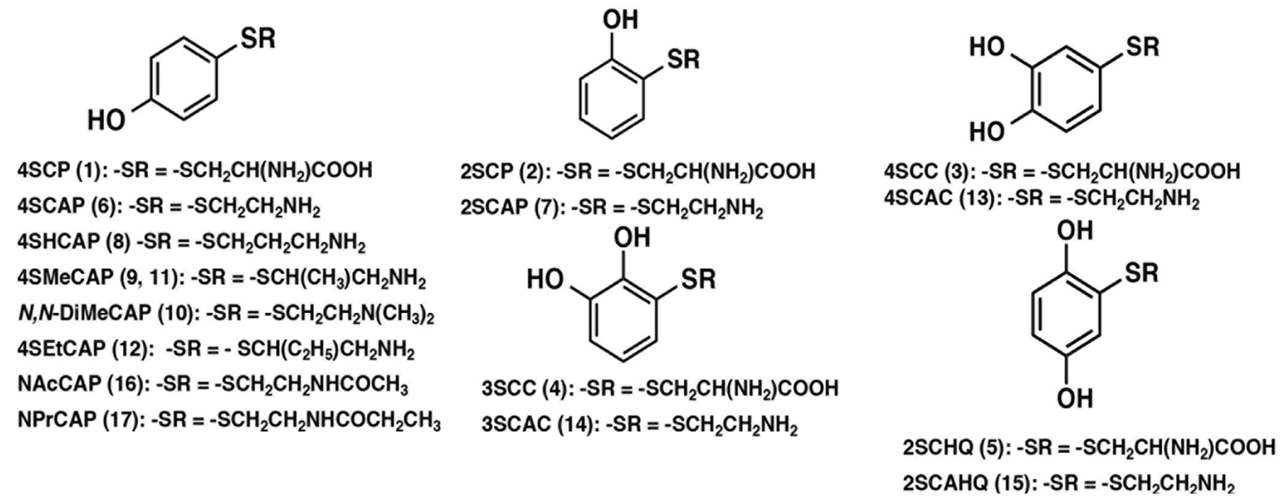 Cancers 14 05588 i005 Cancers 14 05588 i005