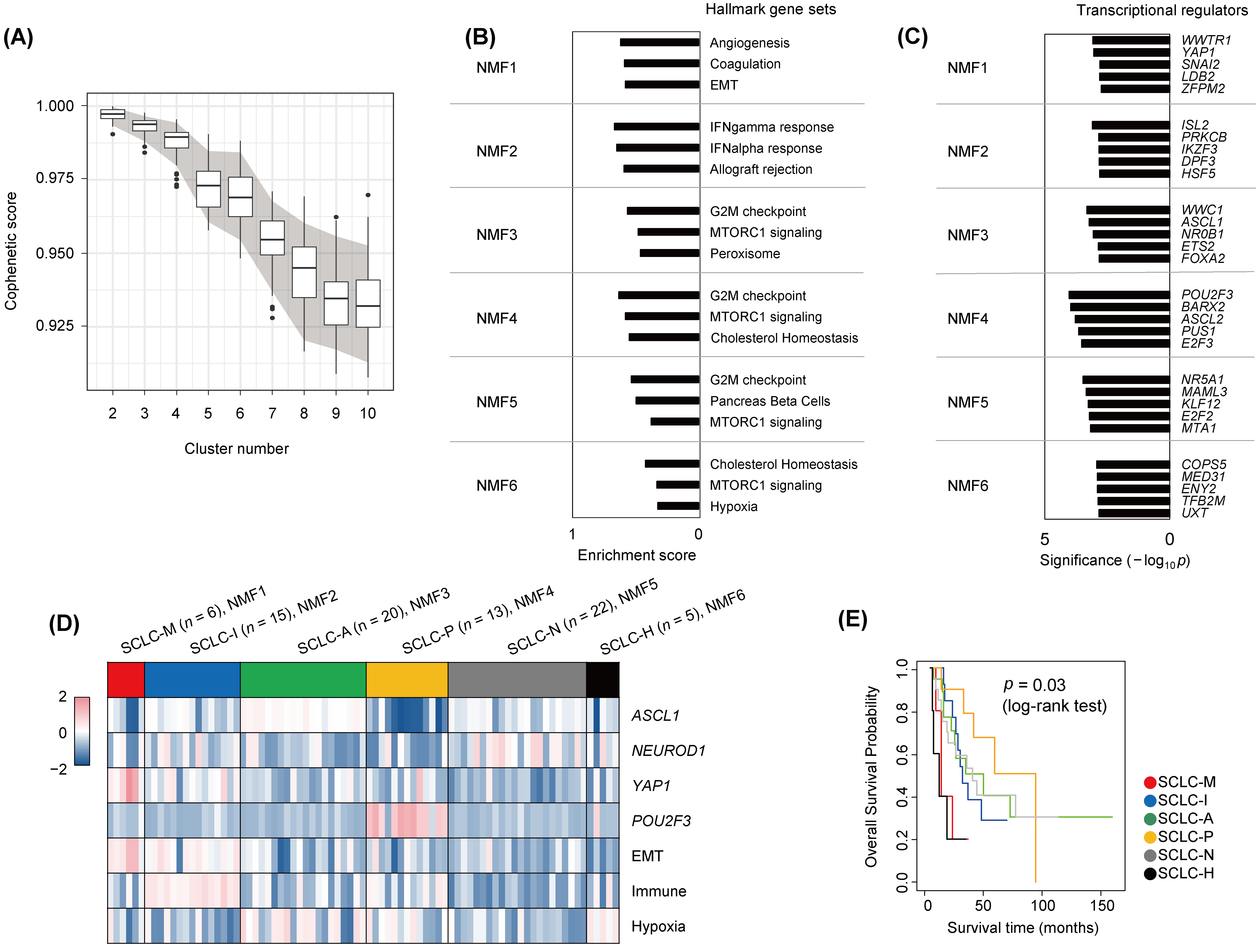 Cancers 14 05600 g001 Cancers 14 05600 g001