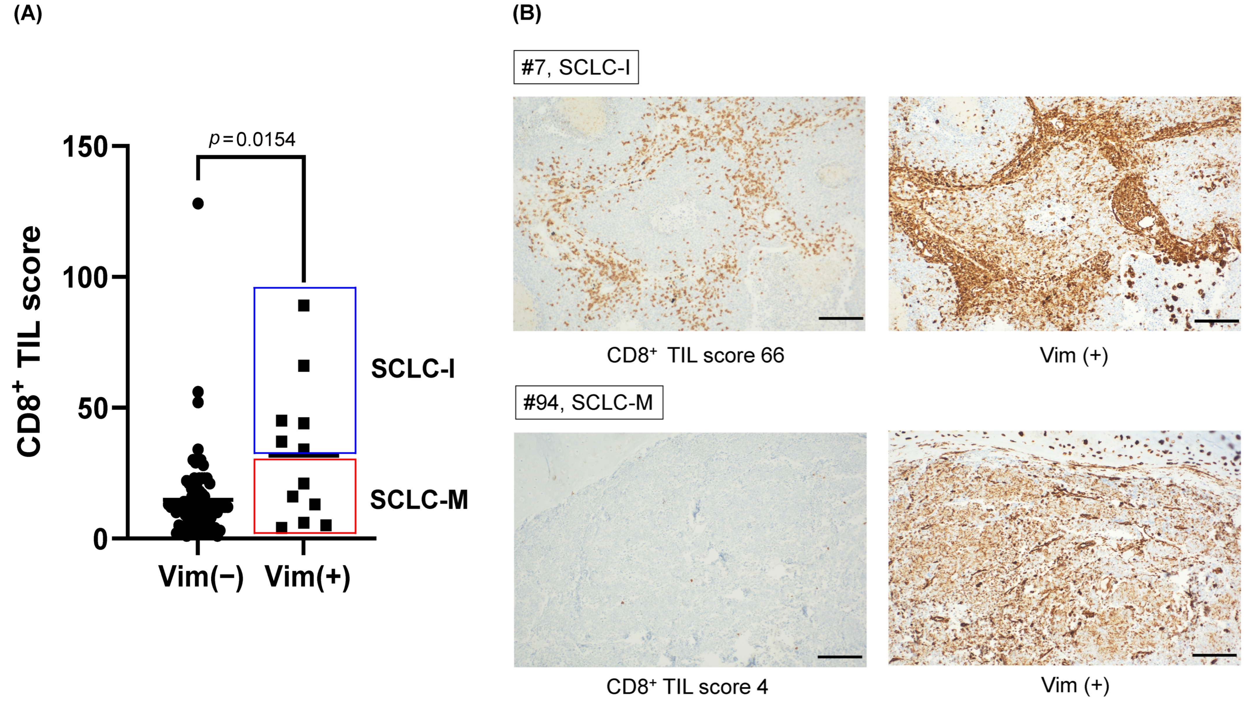 Cancers 14 05600 g004 Cancers 14 05600 g004