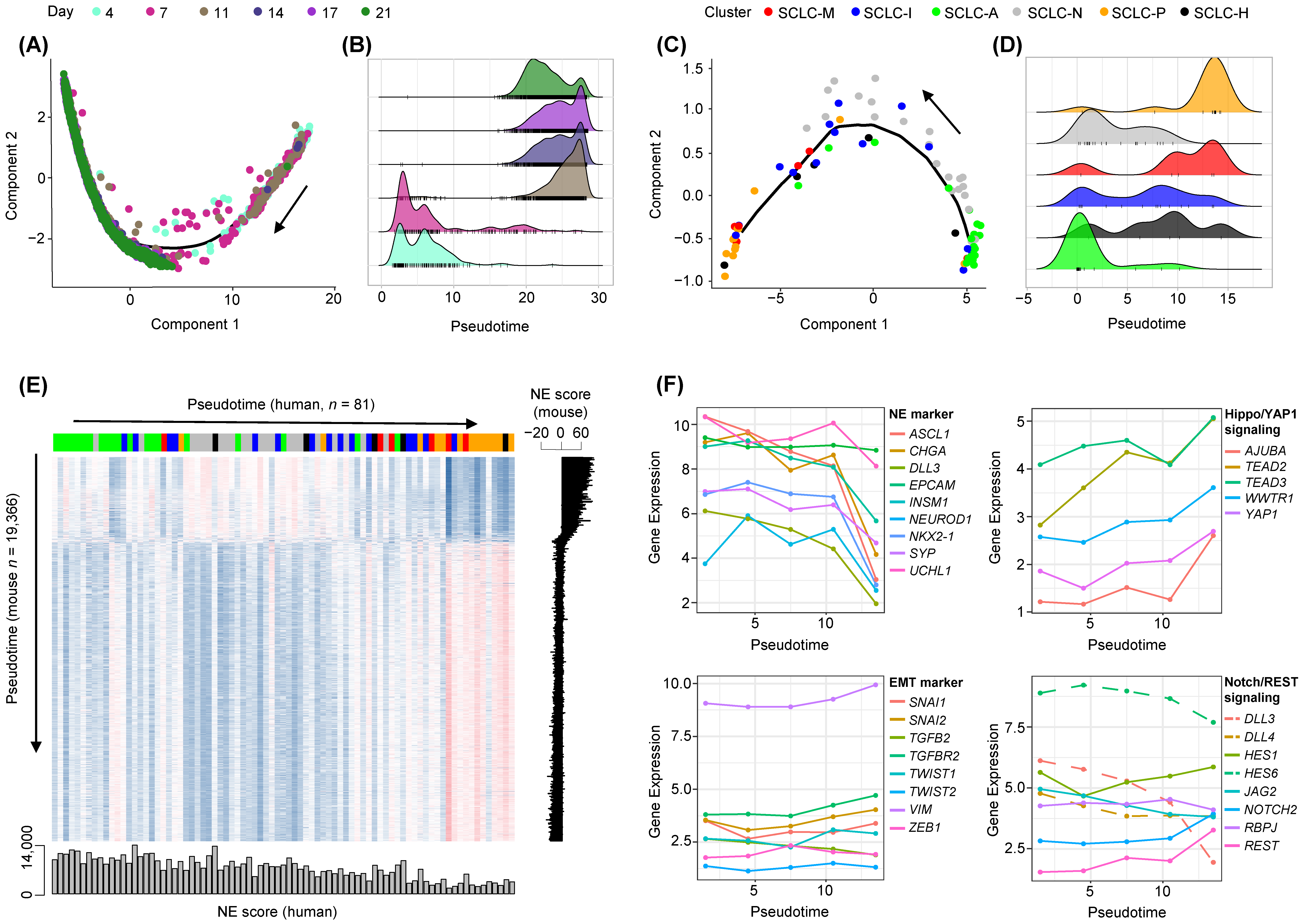 Cancers 14 05600 g005 Cancers 14 05600 g005
