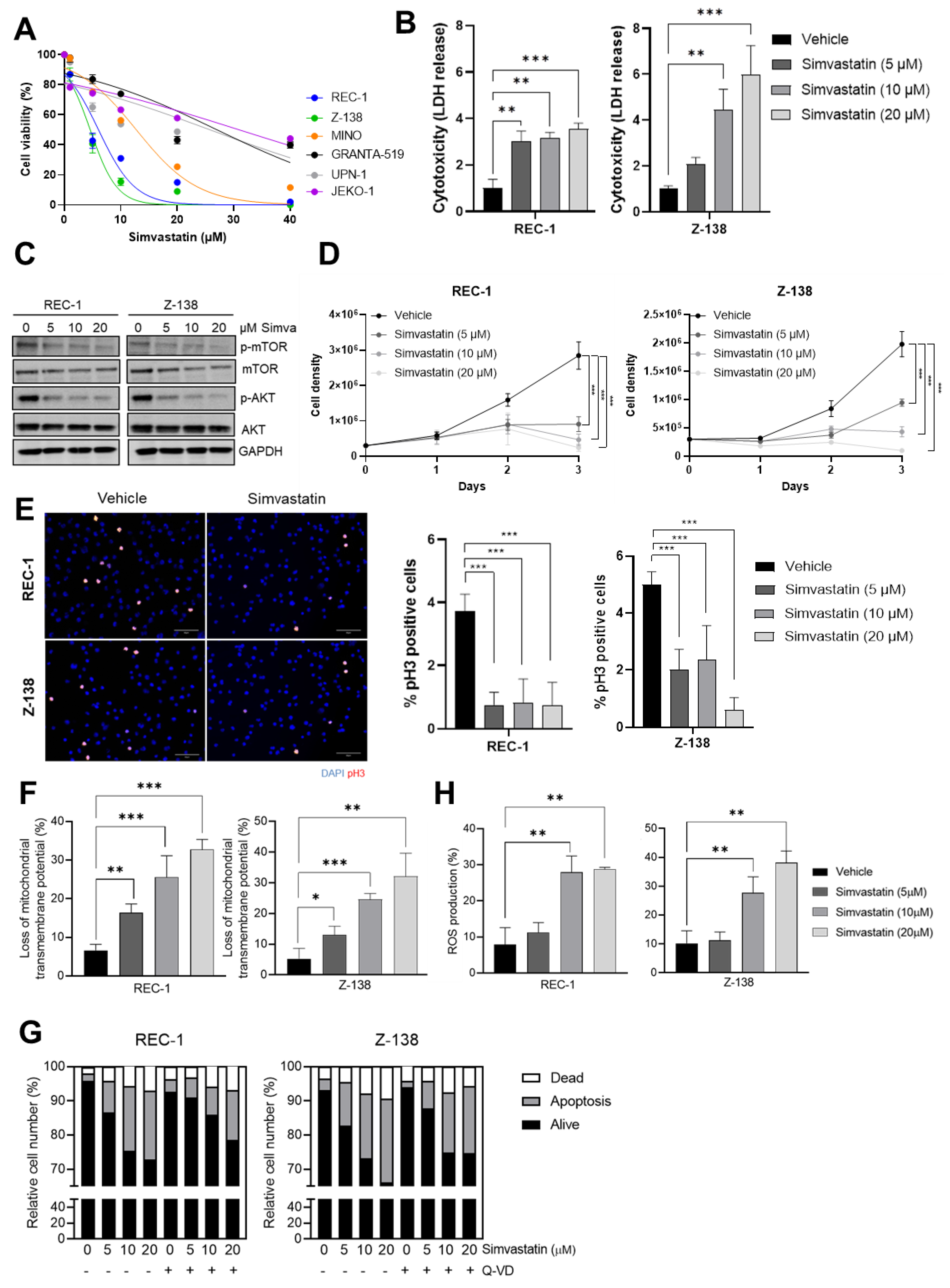 Cancers 14 05601 g001 Cancers 14 05601 g001