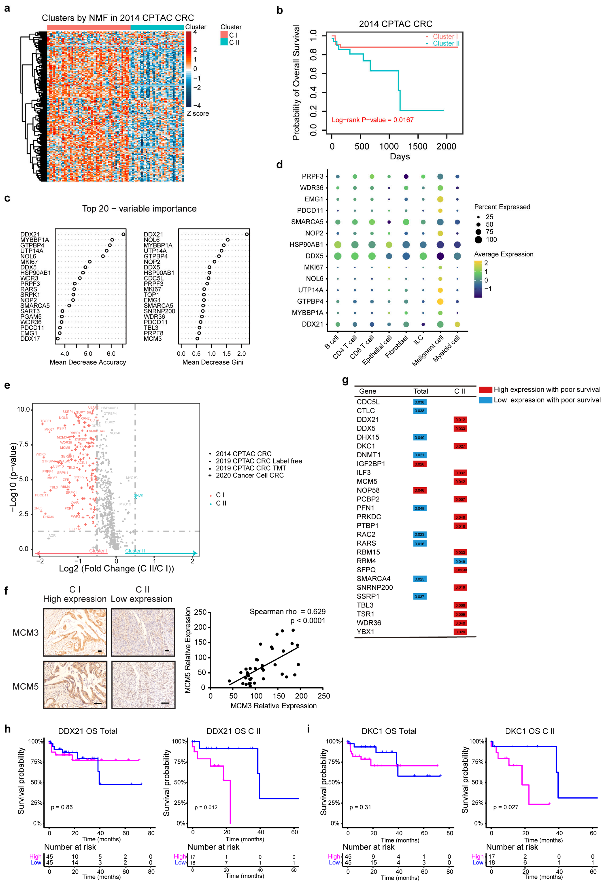 Cancers 14 05607 g001