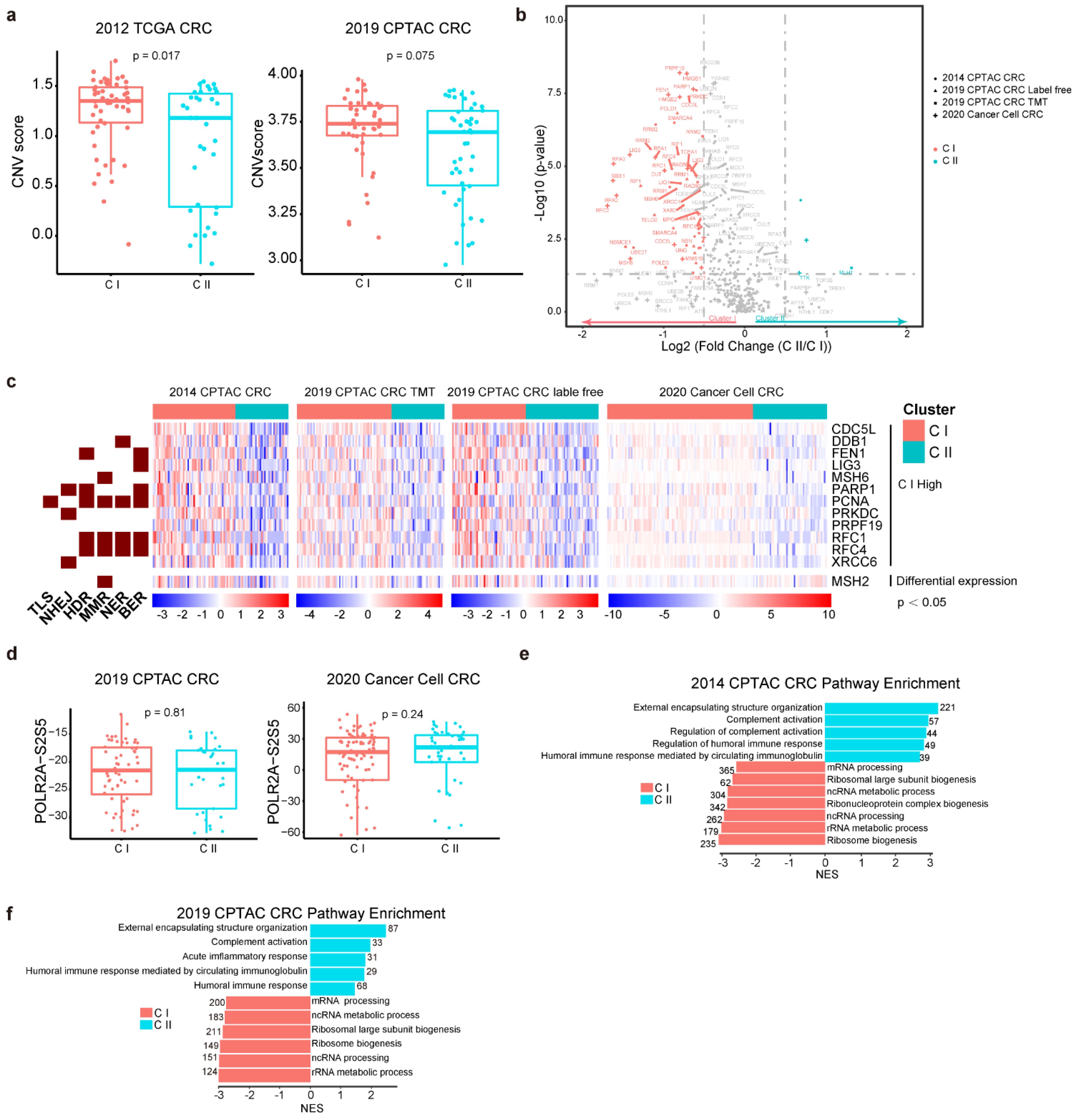 Cancers 14 05607 g003
