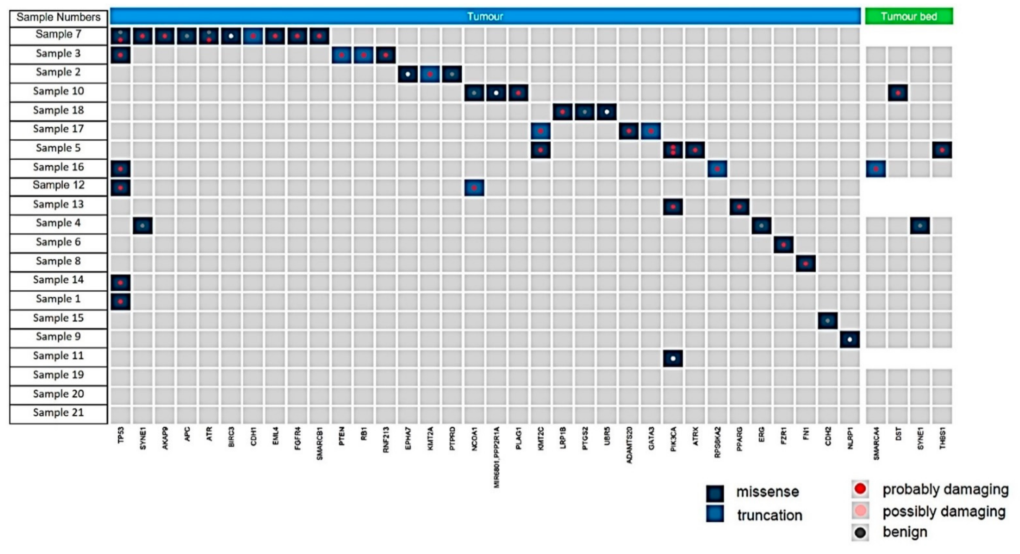 Cancers 14 05609 g005