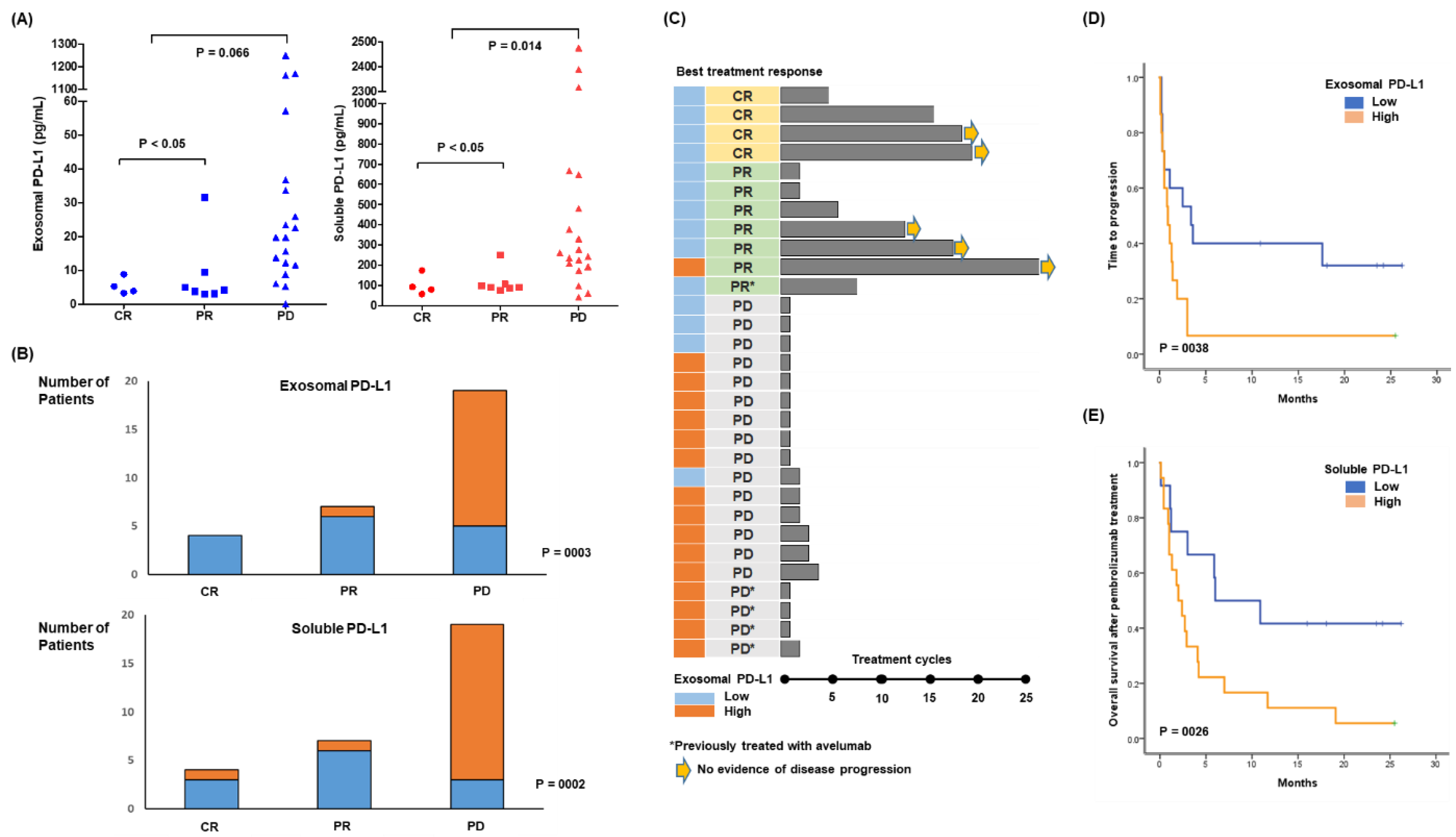 Cancers 14 05618 g003