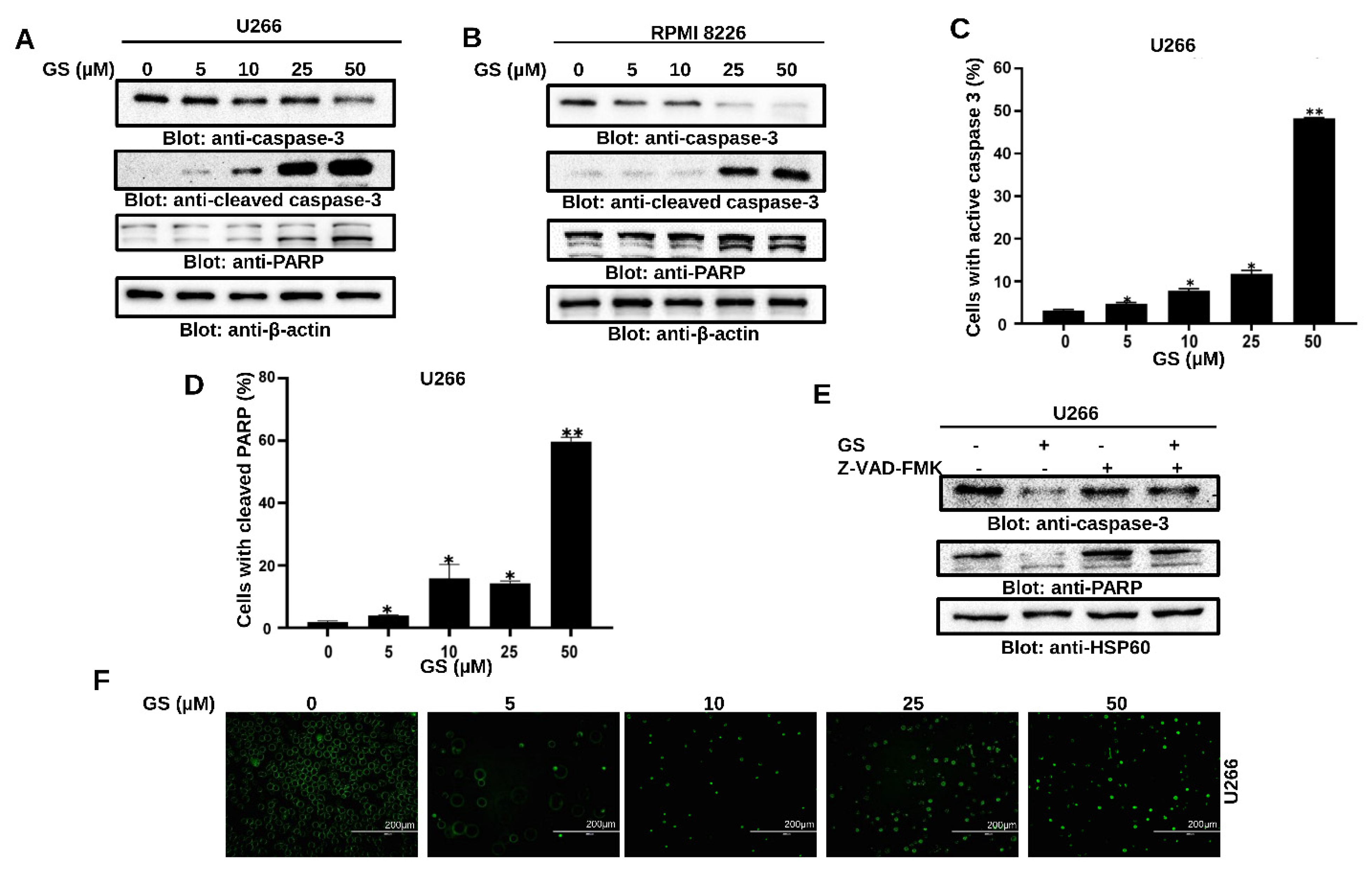 Cancers 14 05621 g004