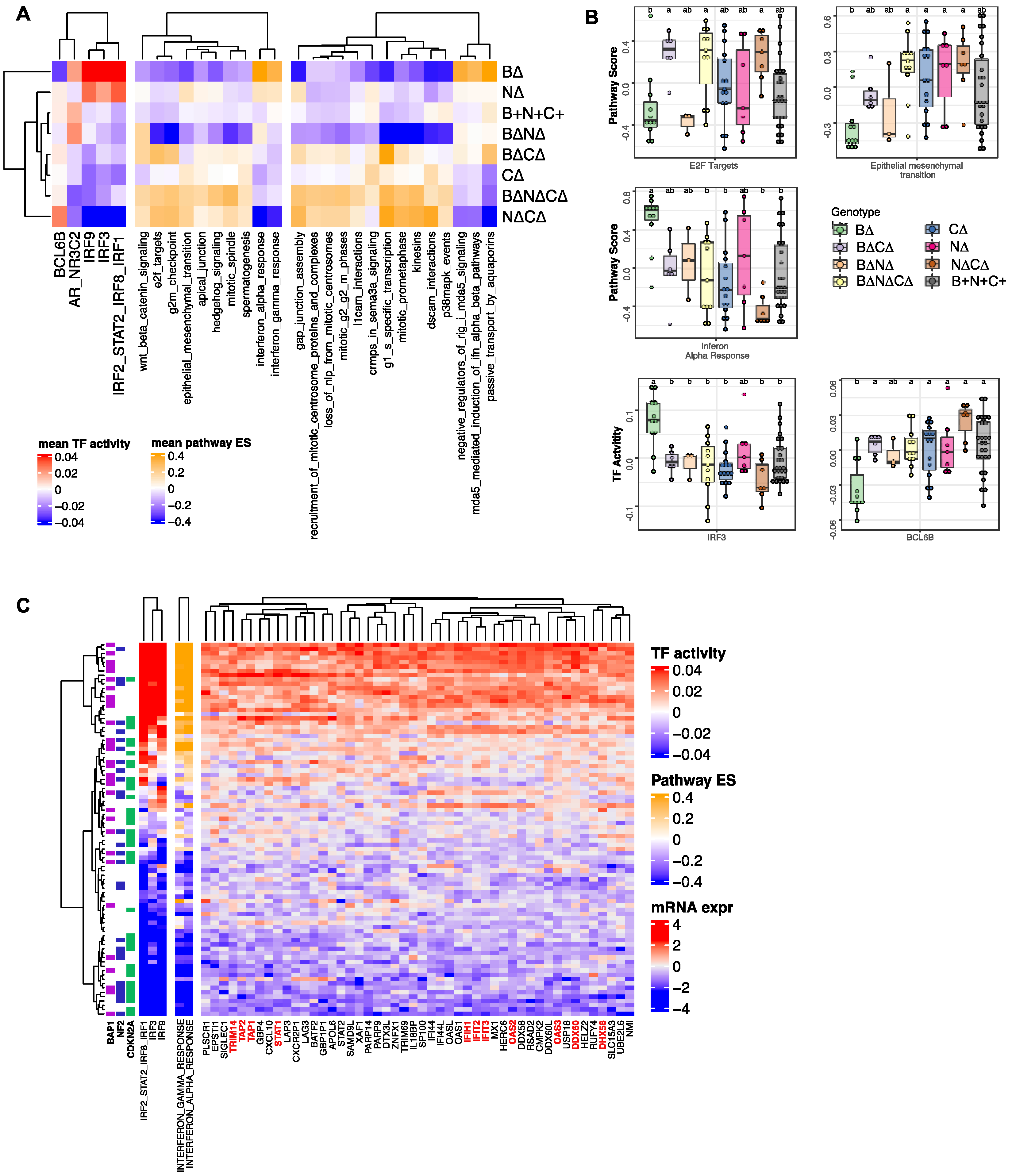 Cancers 14 05626 g004 Cancers 14 05626 g004