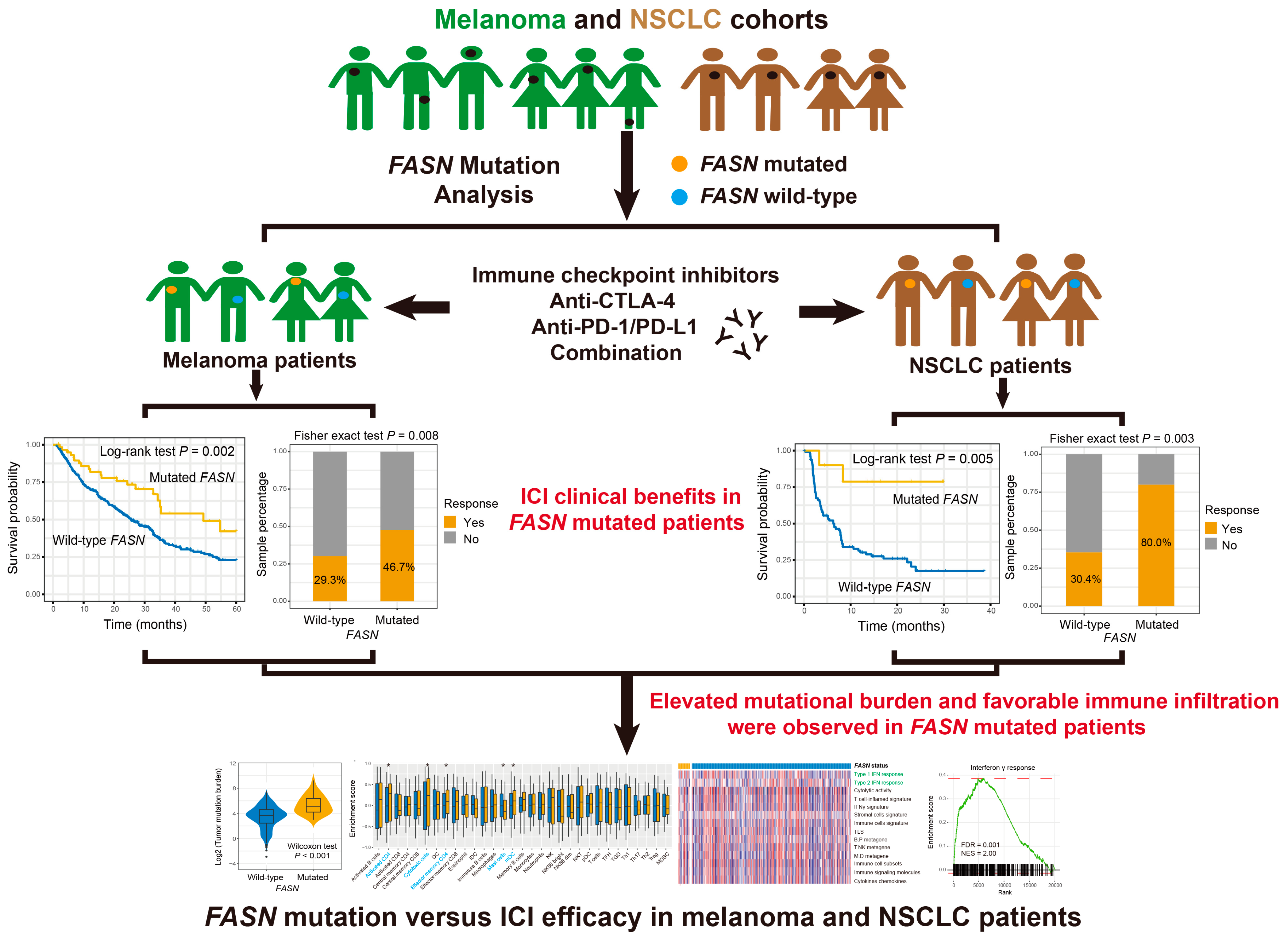 Cancers 14 05638 g001