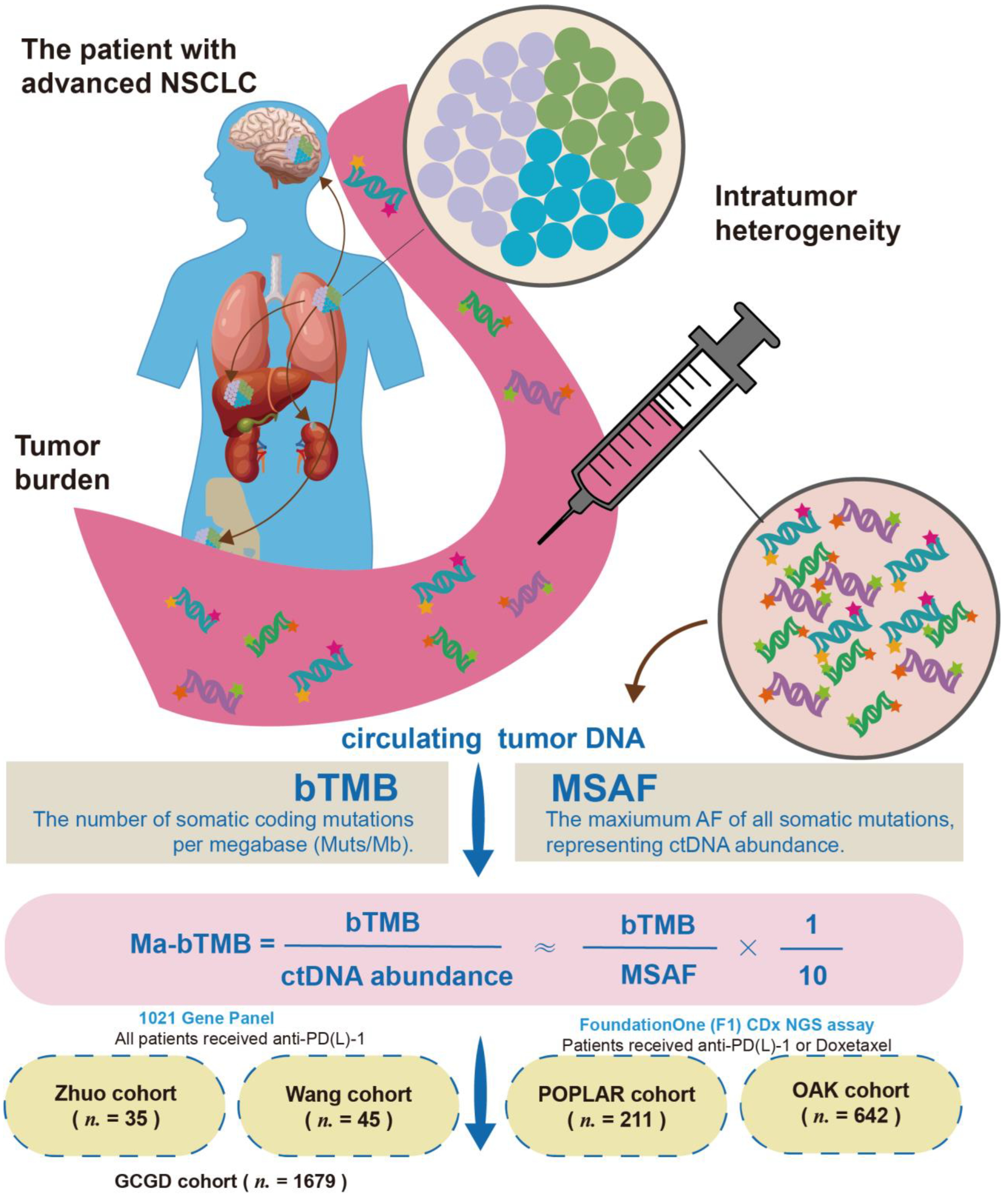 Cancers 14 05649 g001 Cancers 14 05649 g001