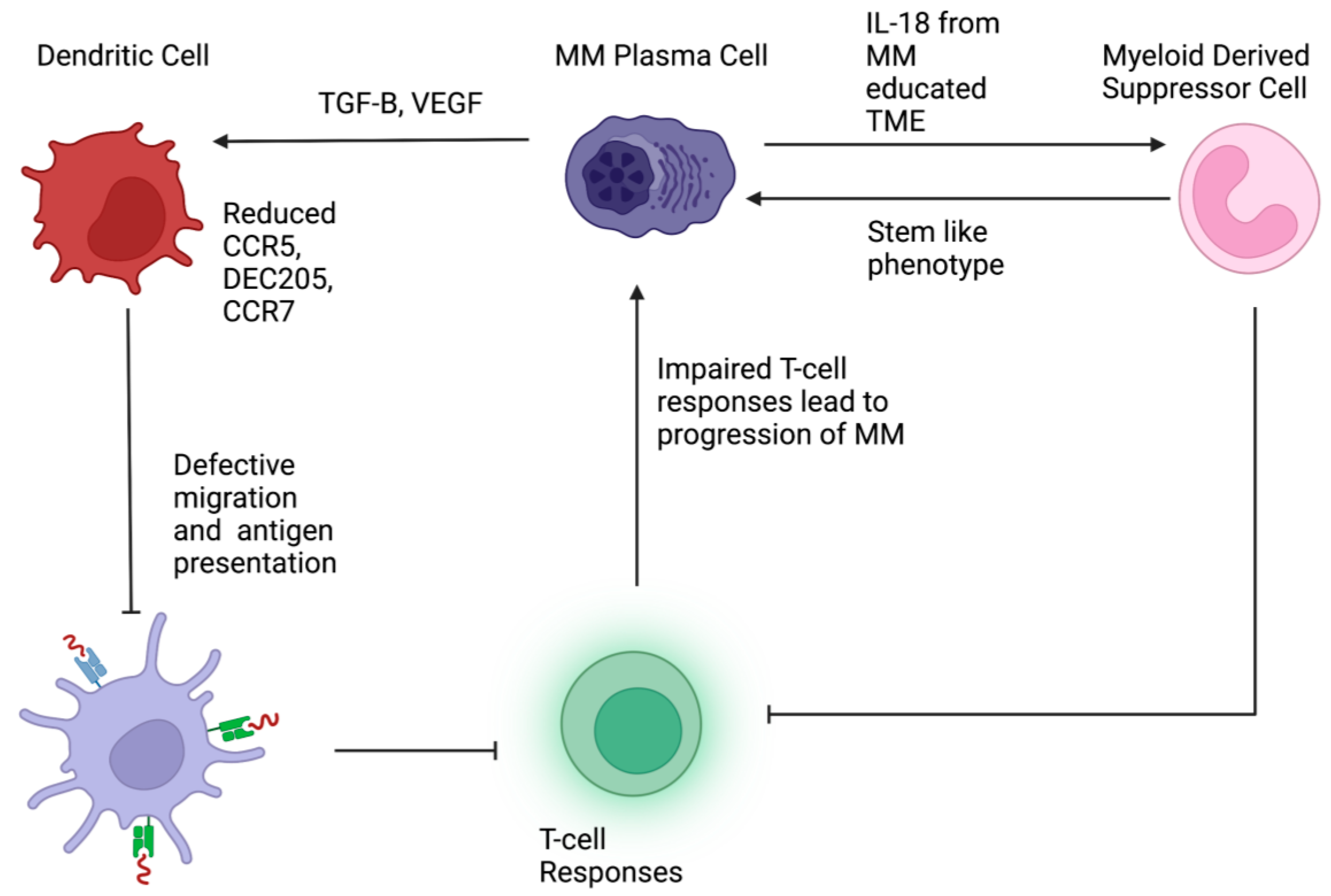 Cancers 14 05654 g002