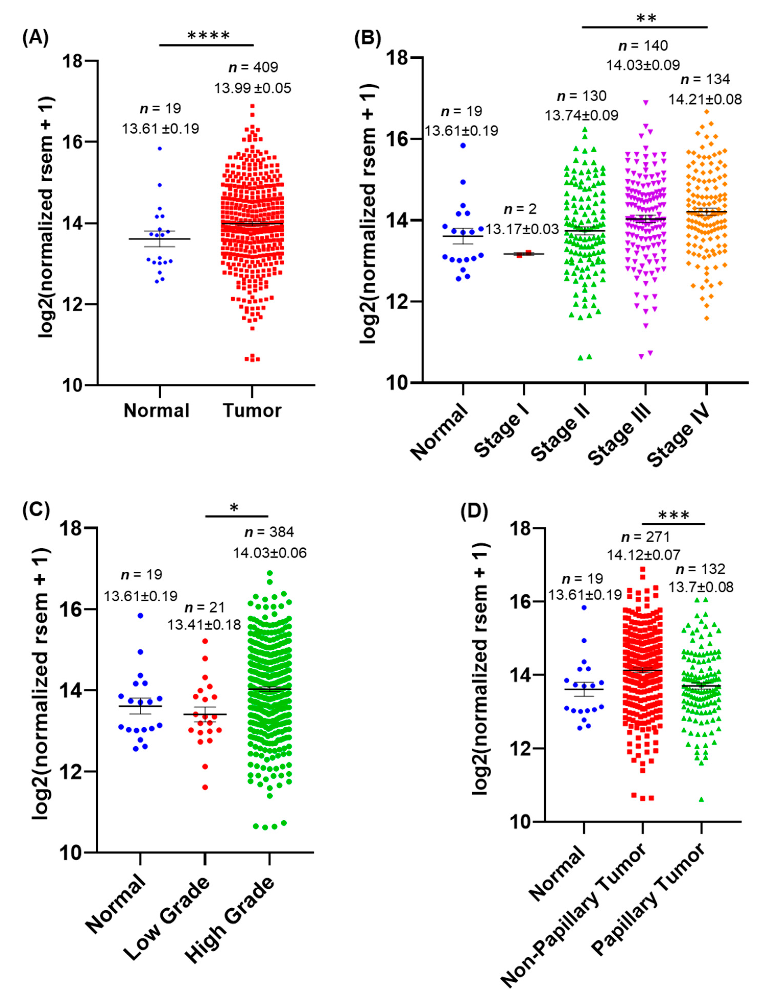 Cancers 14 05664 g001