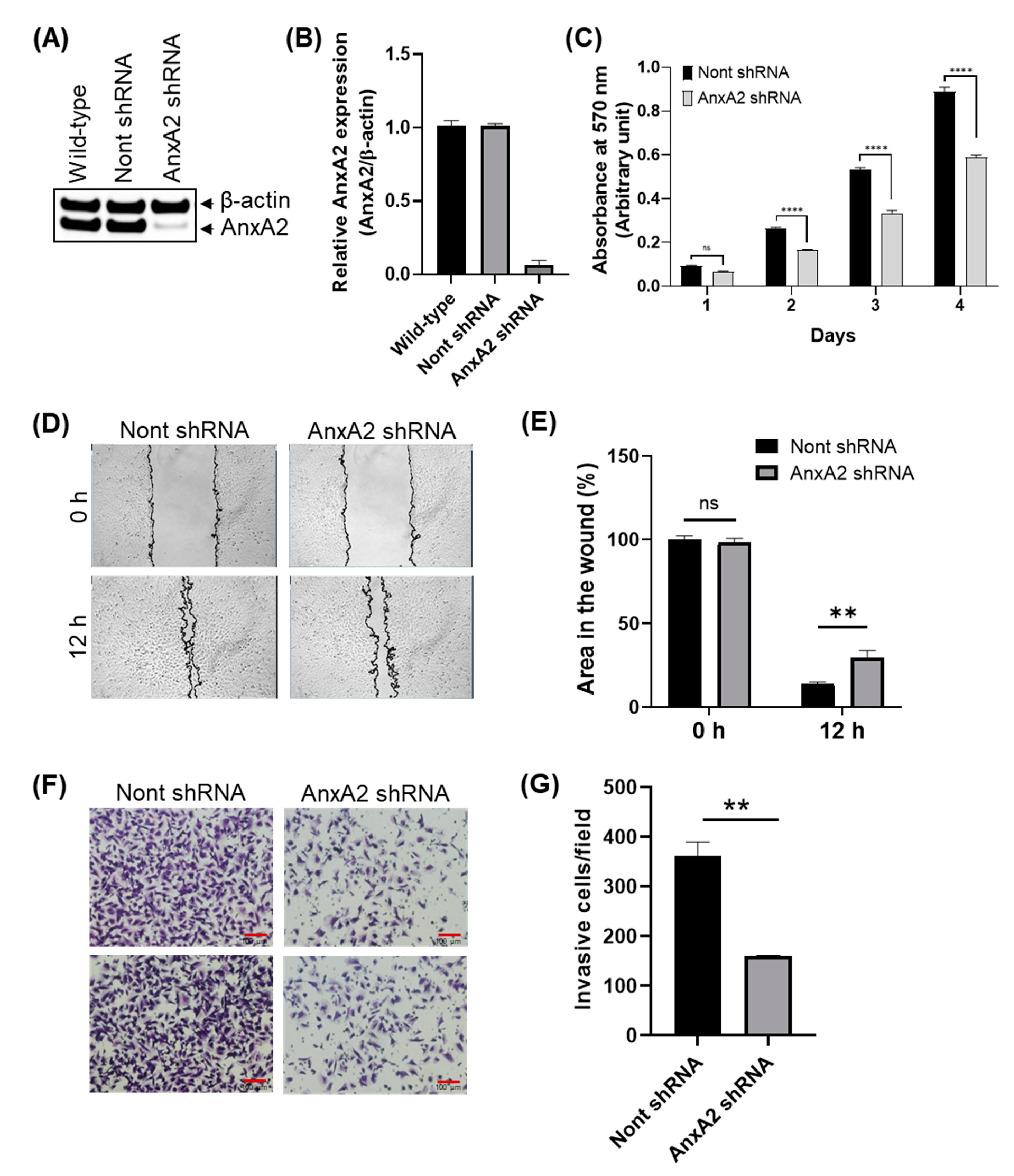 Cancers 14 05664 g006