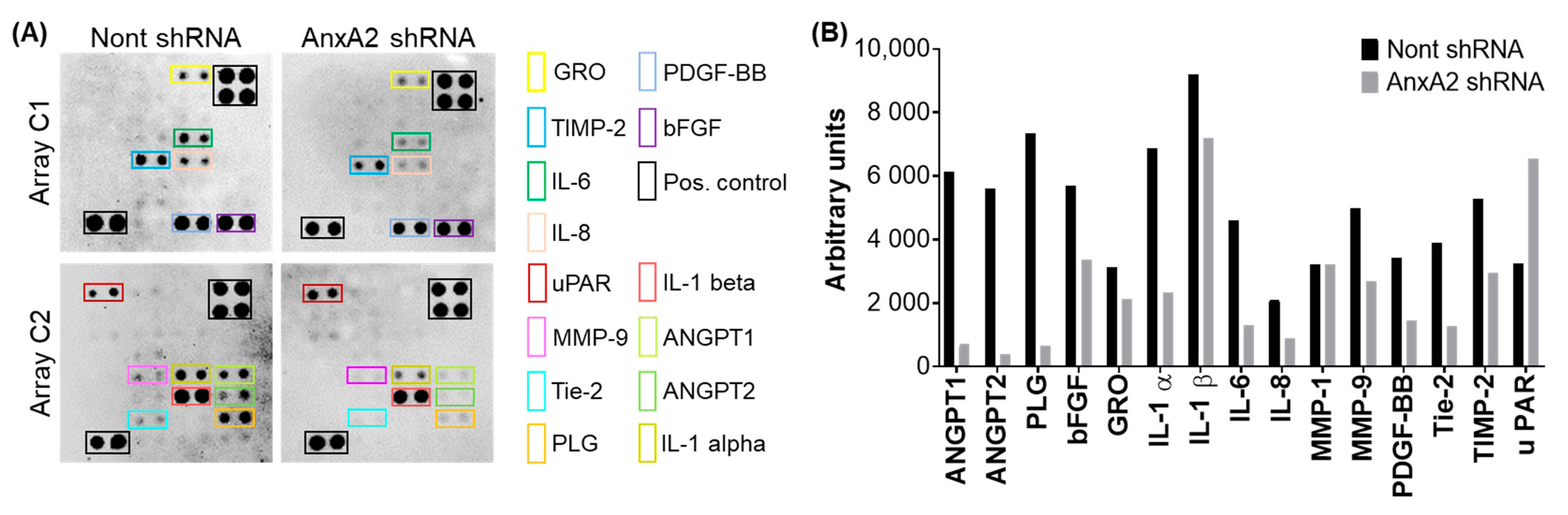 Cancers 14 05664 g007