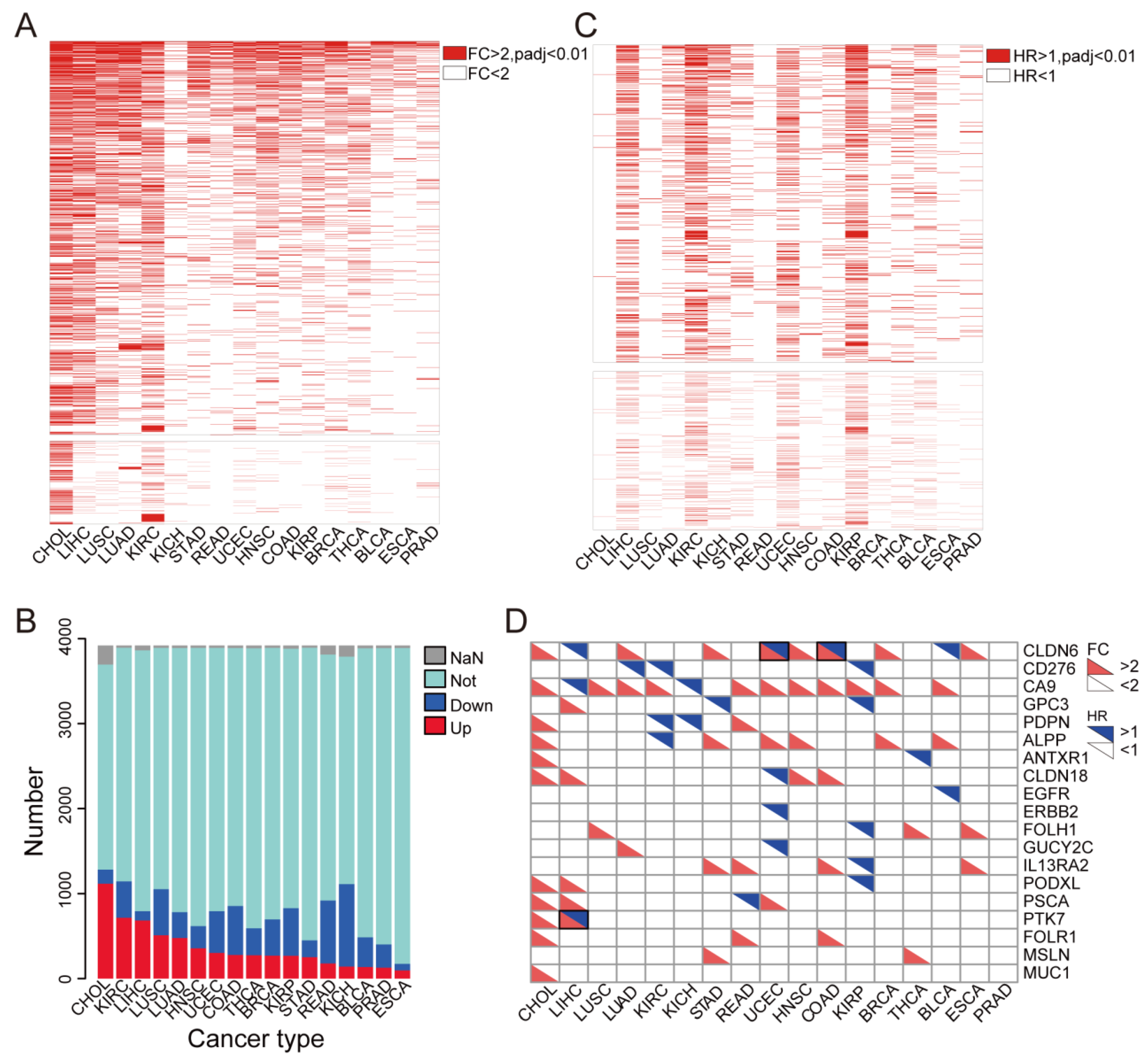 Cancers 14 05674 g002