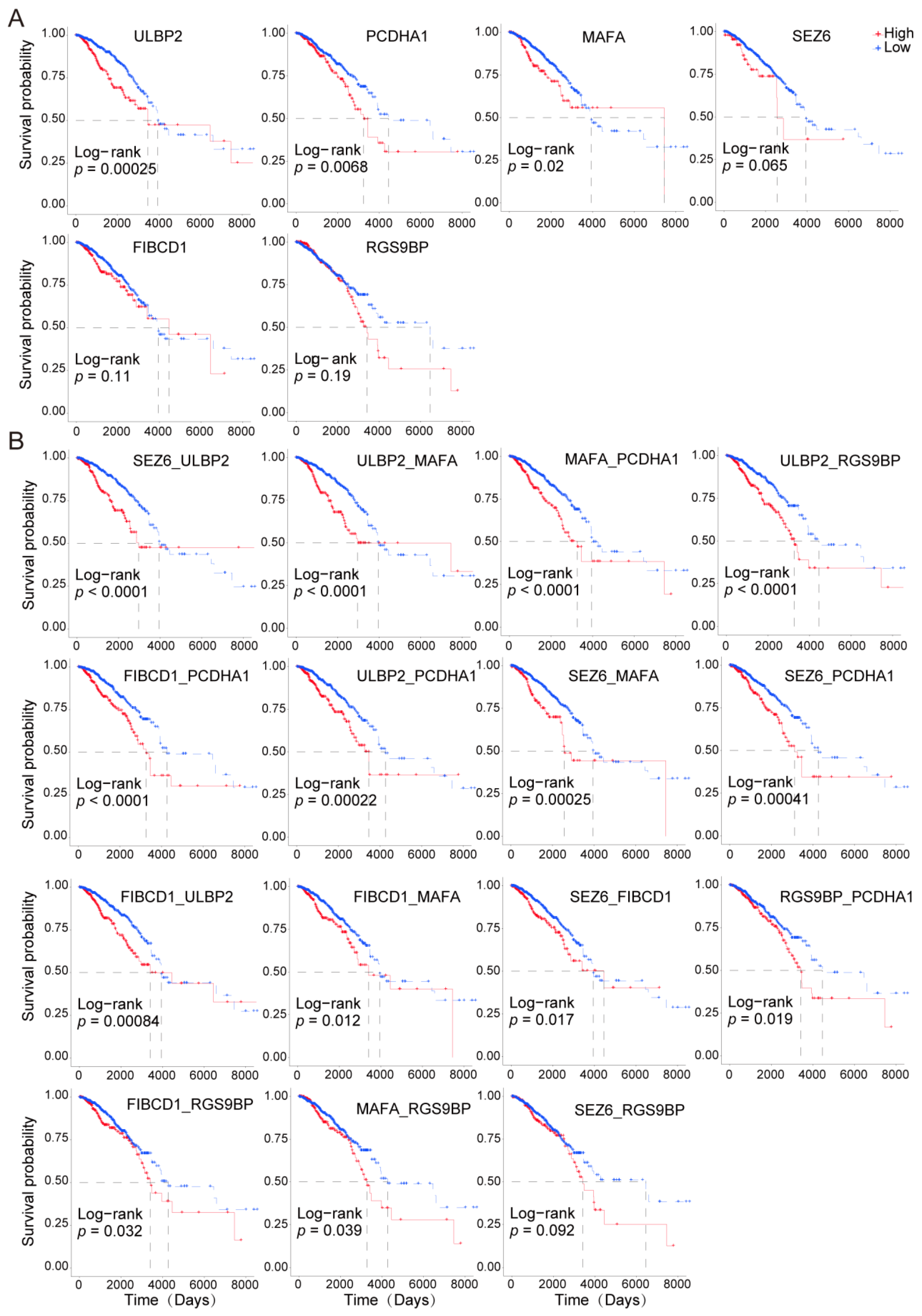 Cancers 14 05674 g004