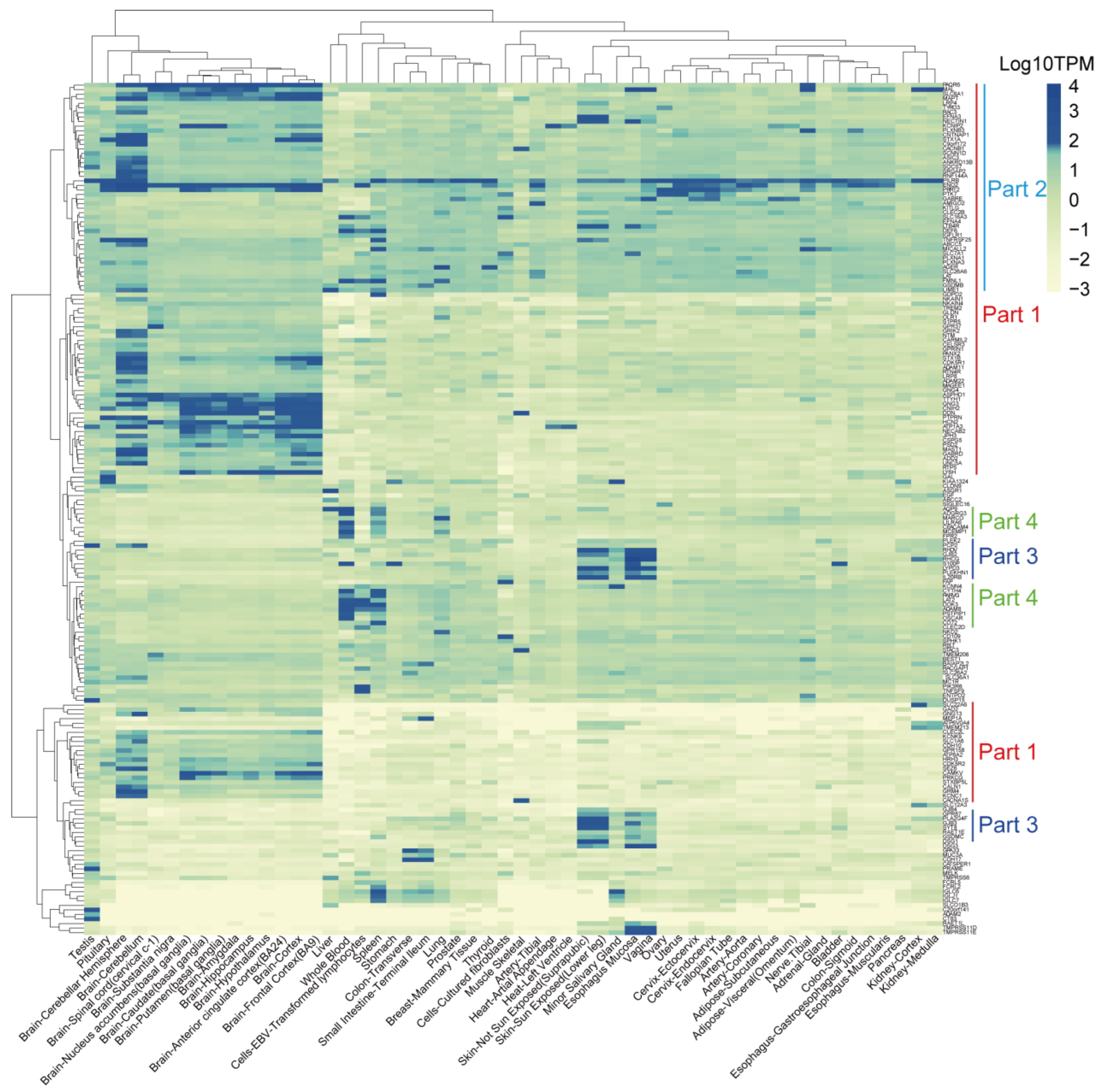 Cancers 14 05674 g007