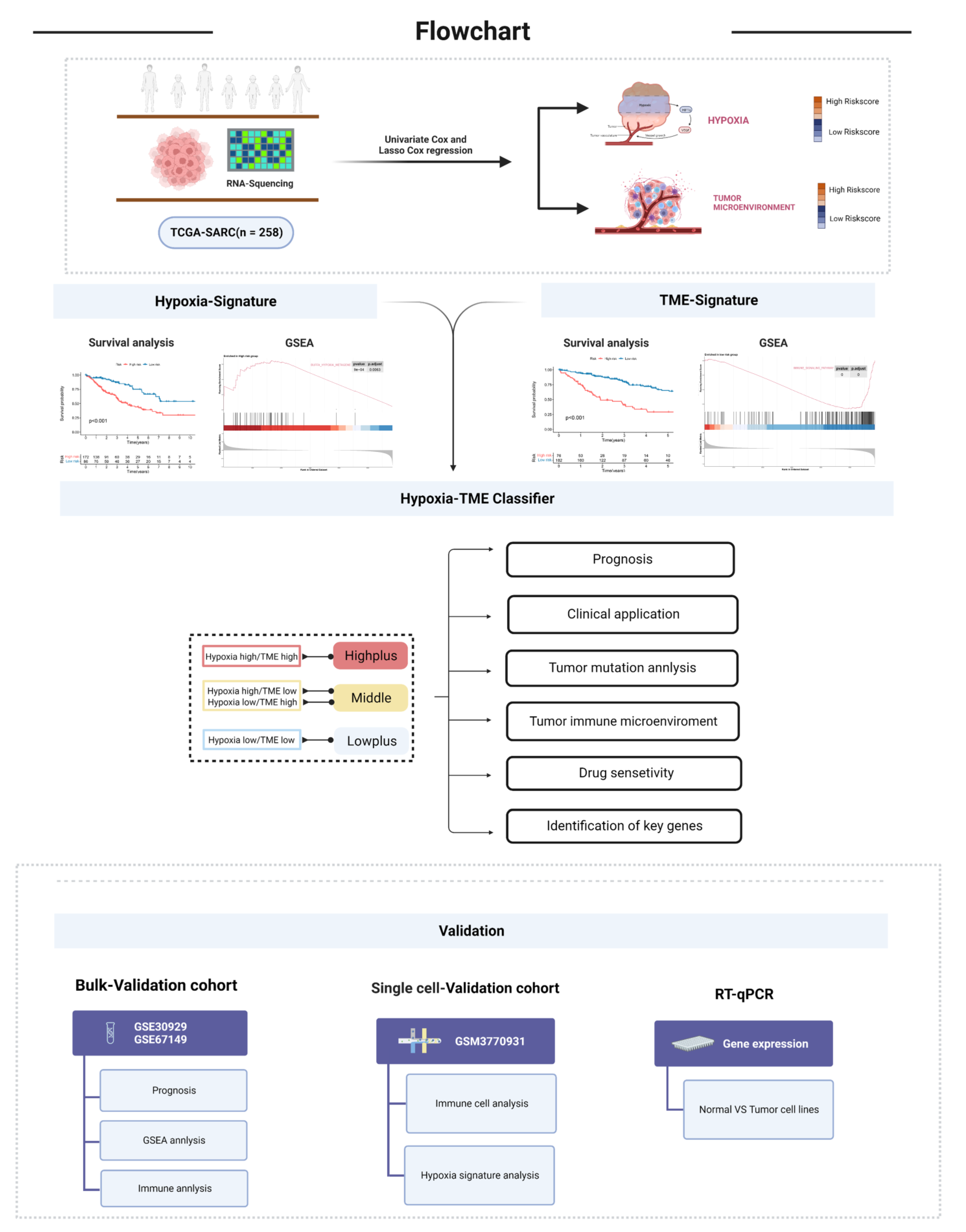 Cancers 14 05675 g001