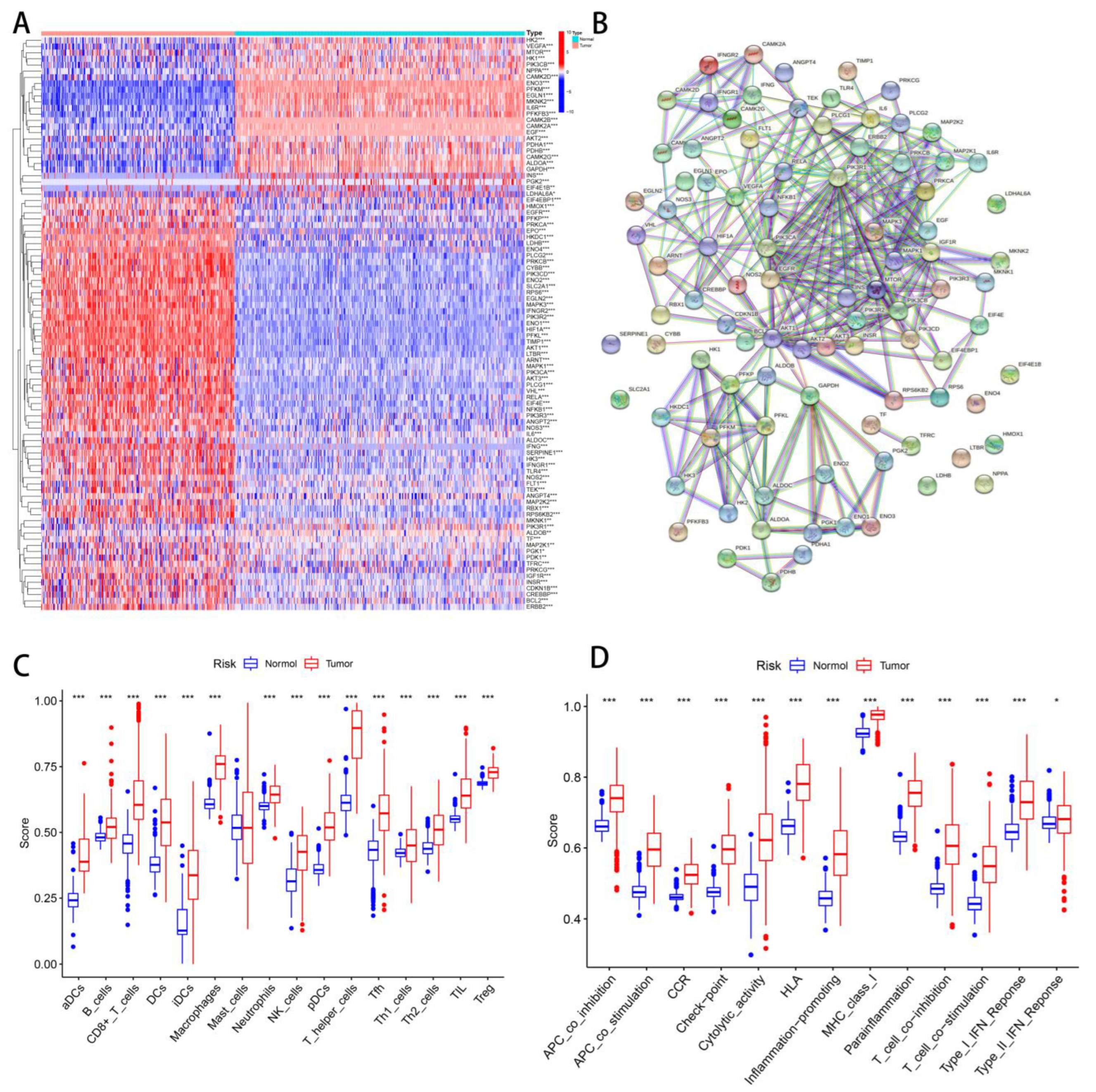 Cancers 14 05675 g002