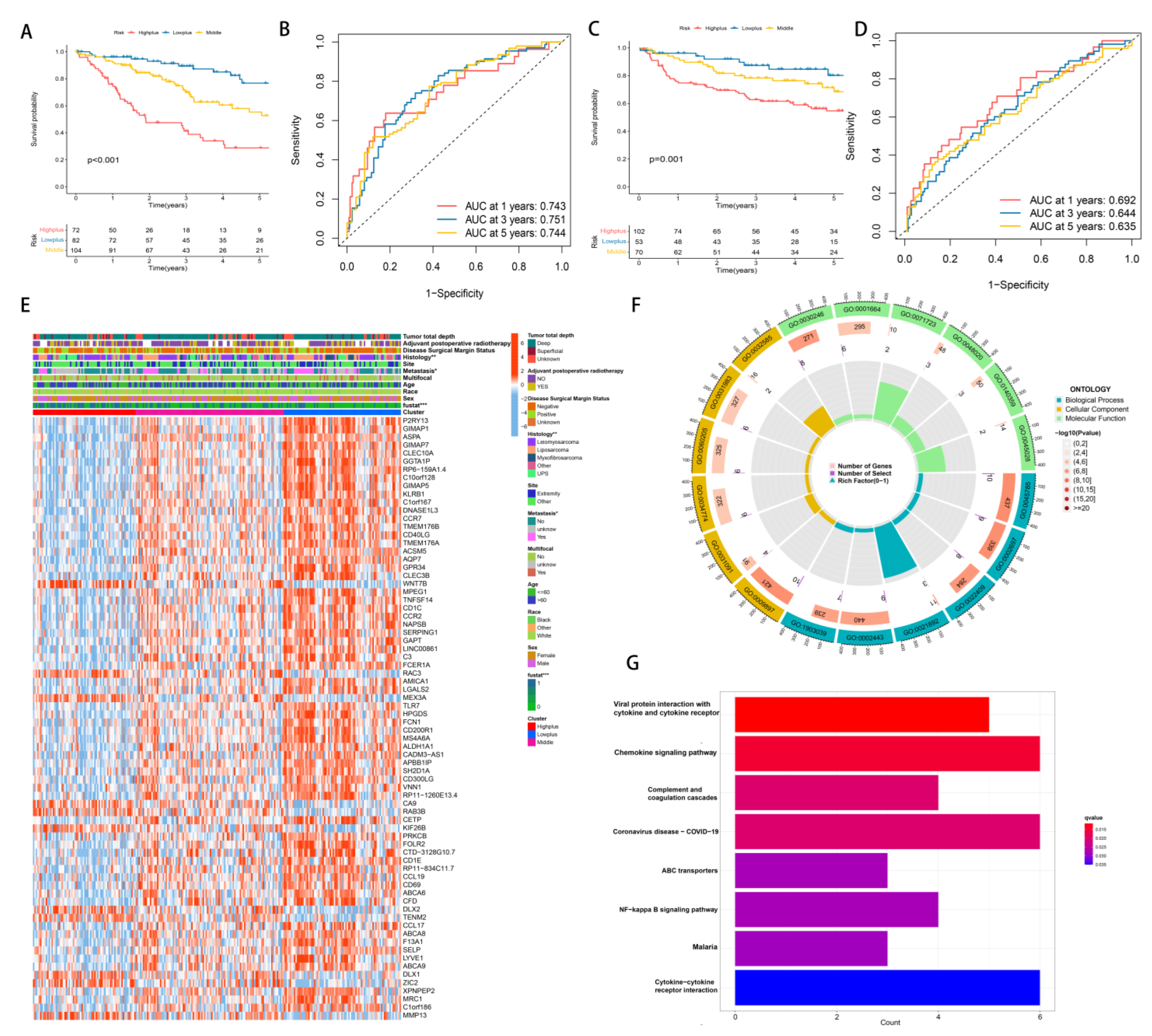 Cancers 14 05675 g004
