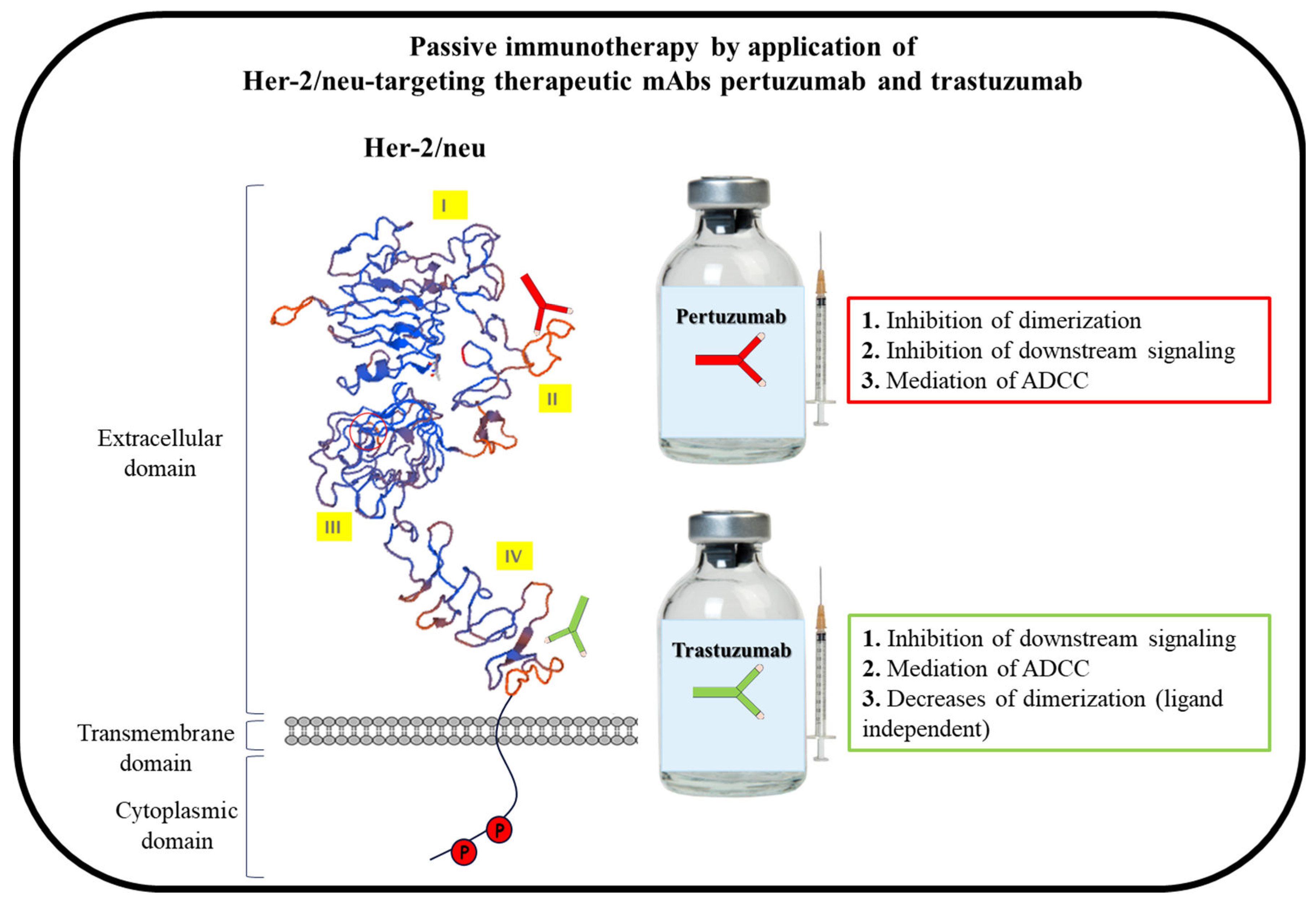 Cancers 14 05678 g001