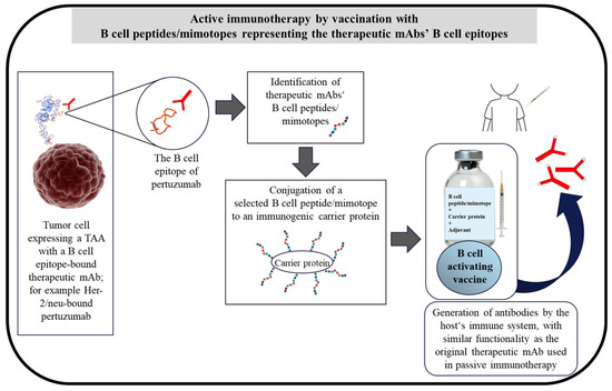 Cancers 14 05678 g002