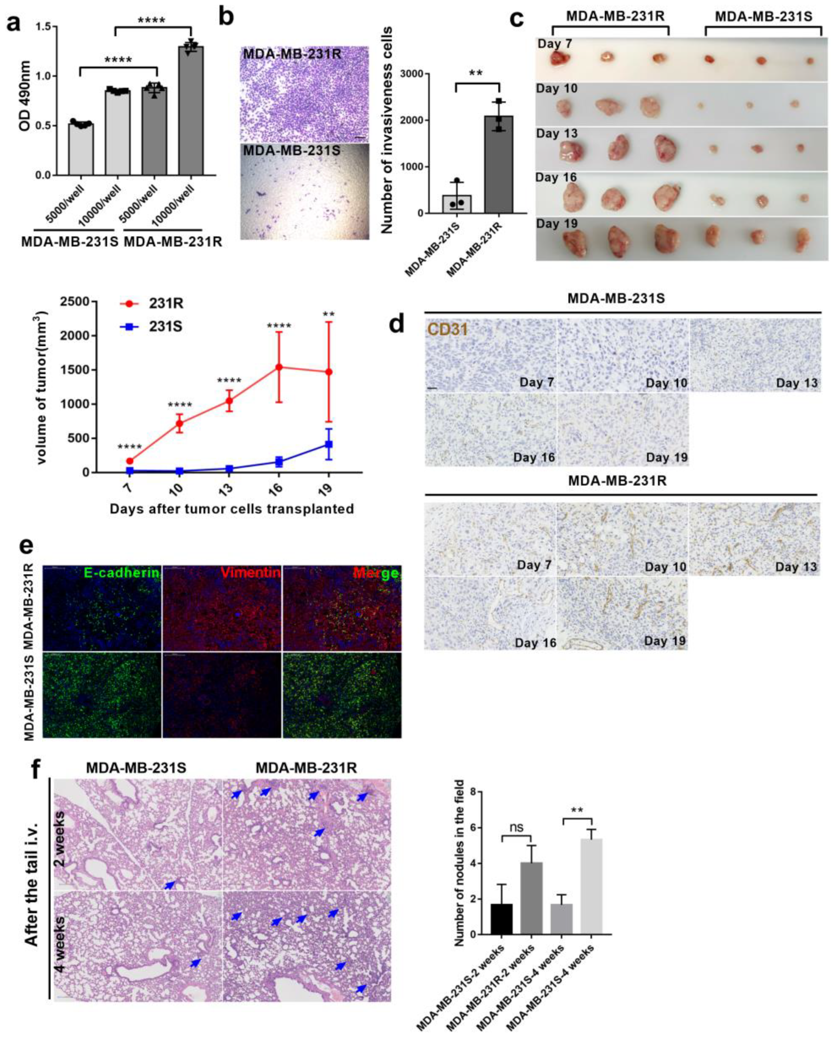Cancers 14 05681 g001