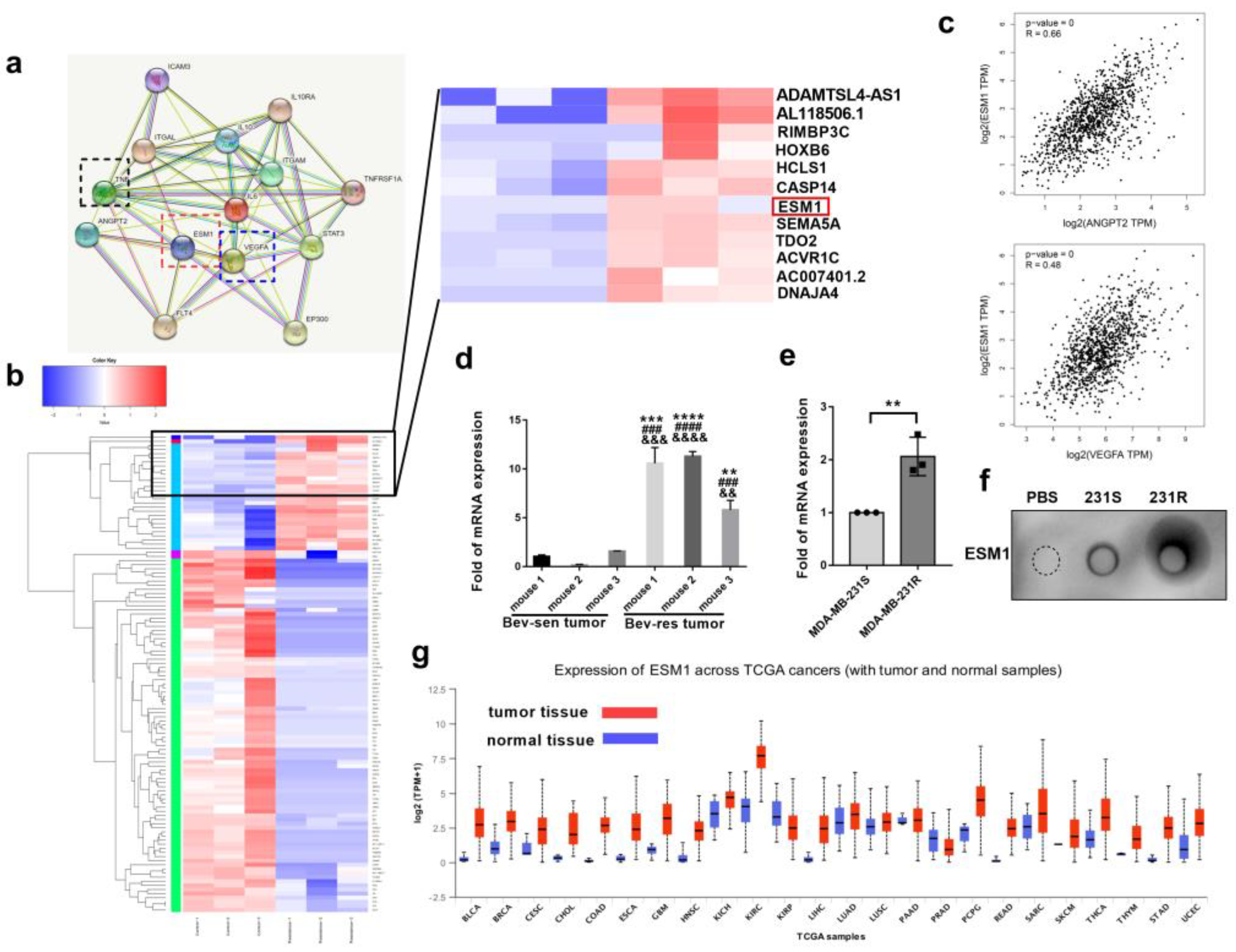 Cancers 14 05681 g002