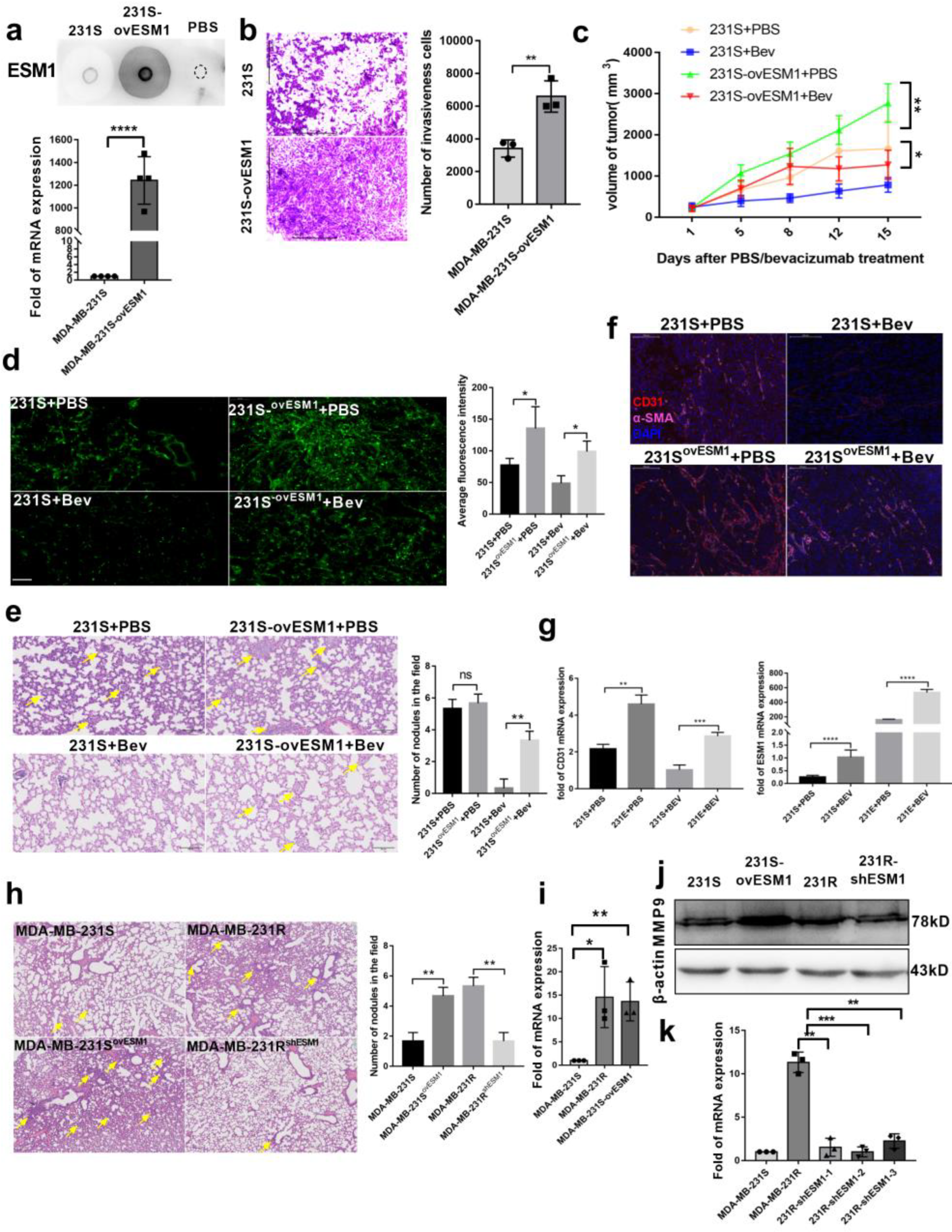 Cancers 14 05681 g003