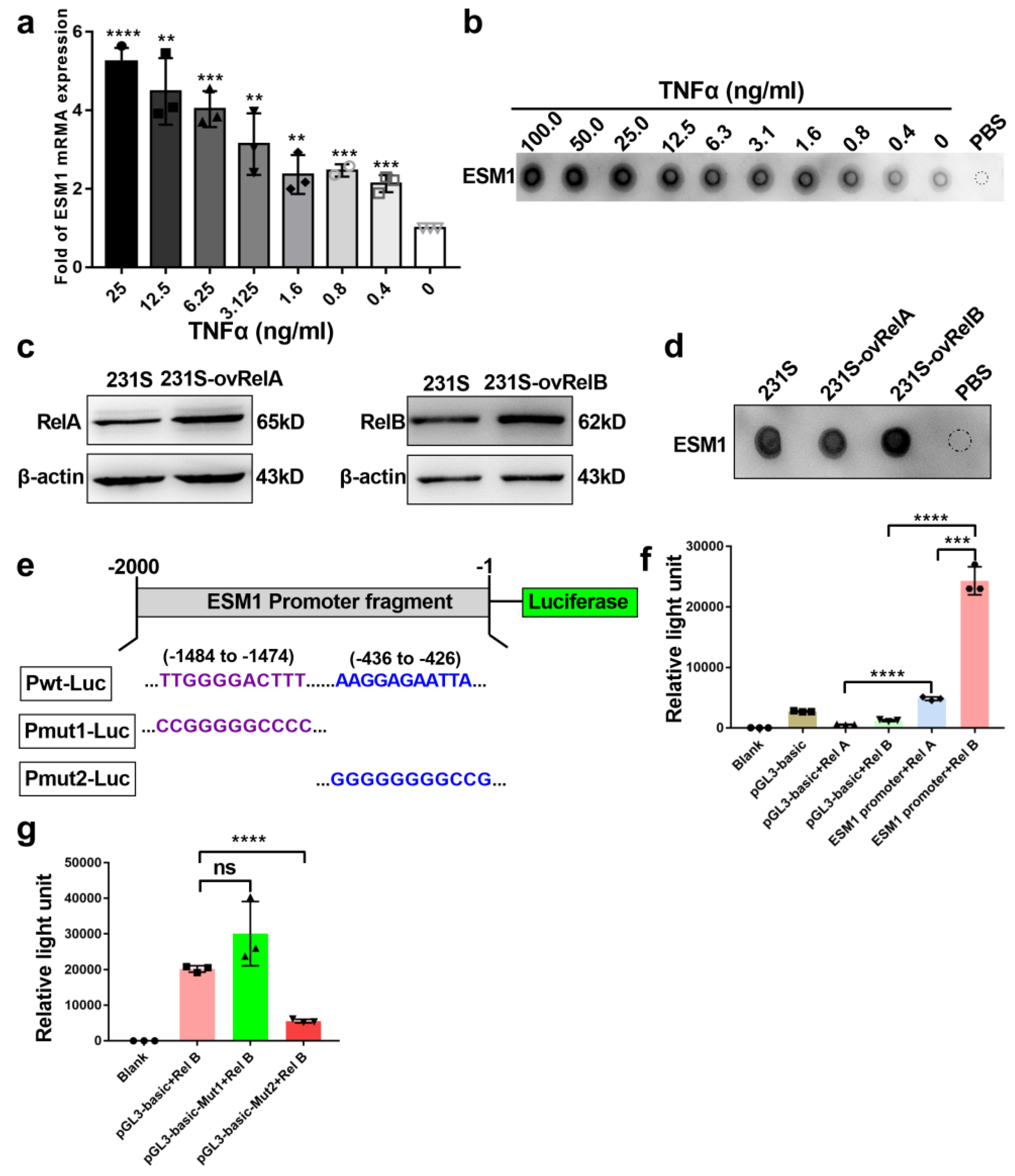 Cancers 14 05681 g004