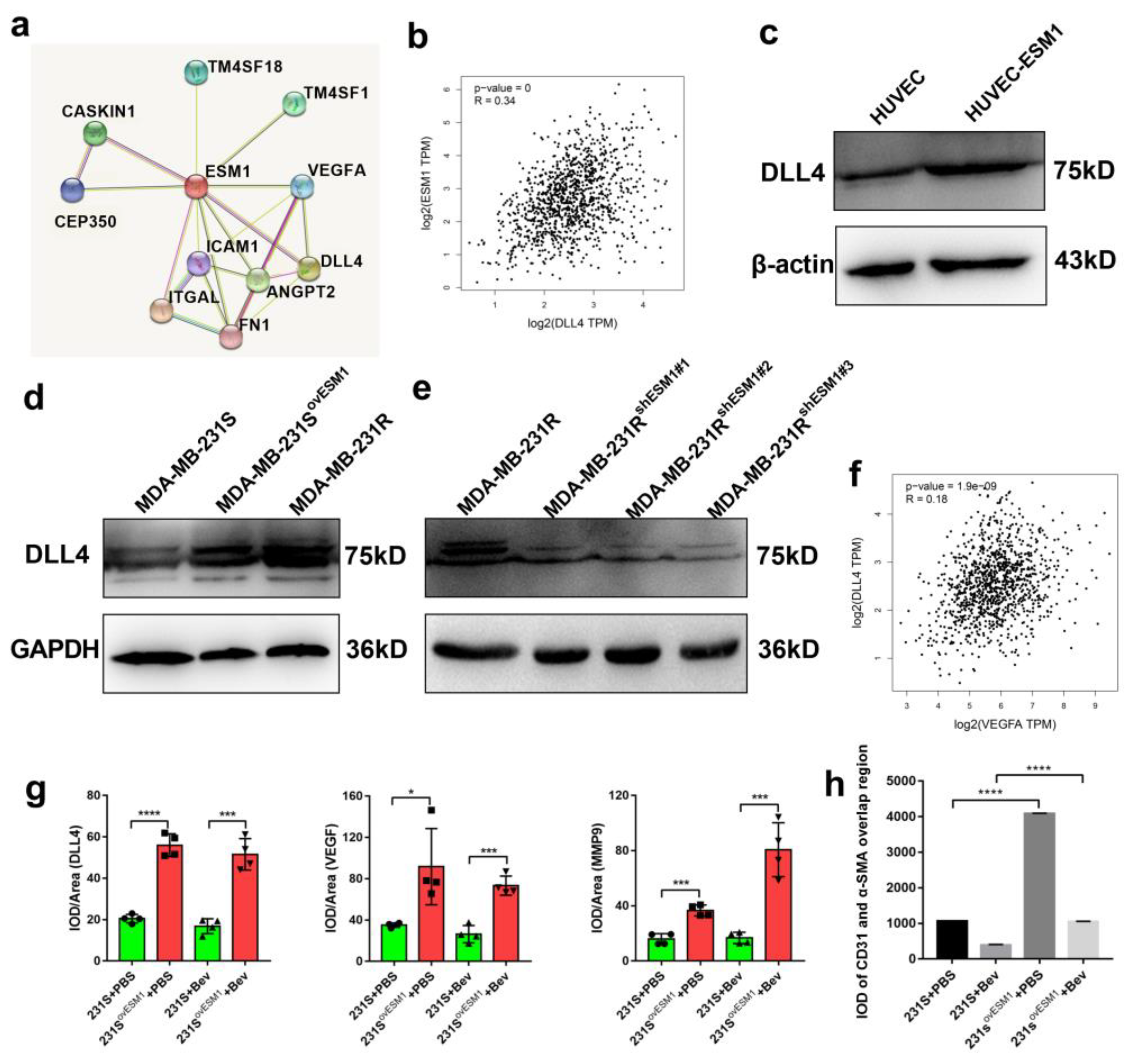 Cancers 14 05681 g006