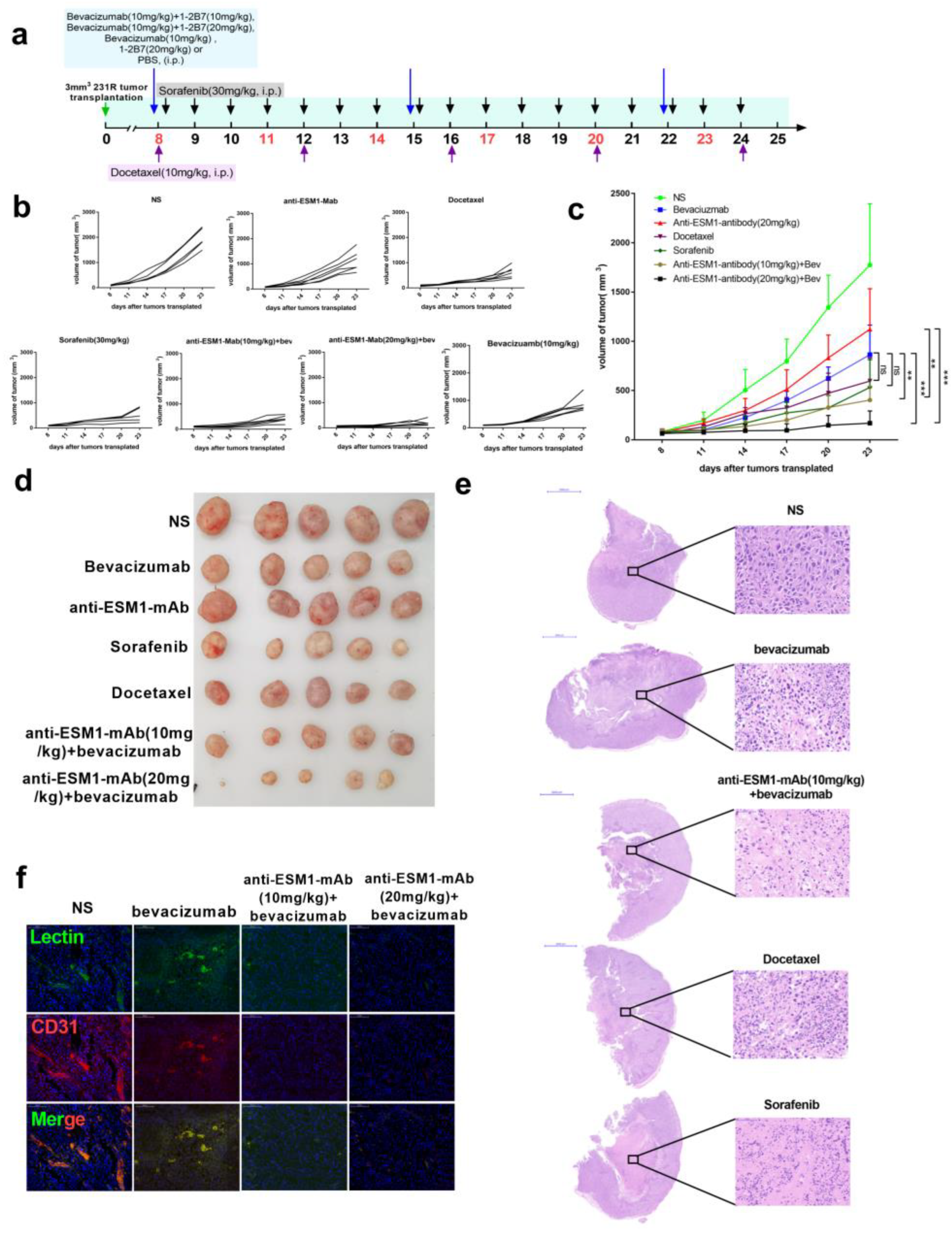 Cancers 14 05681 g008