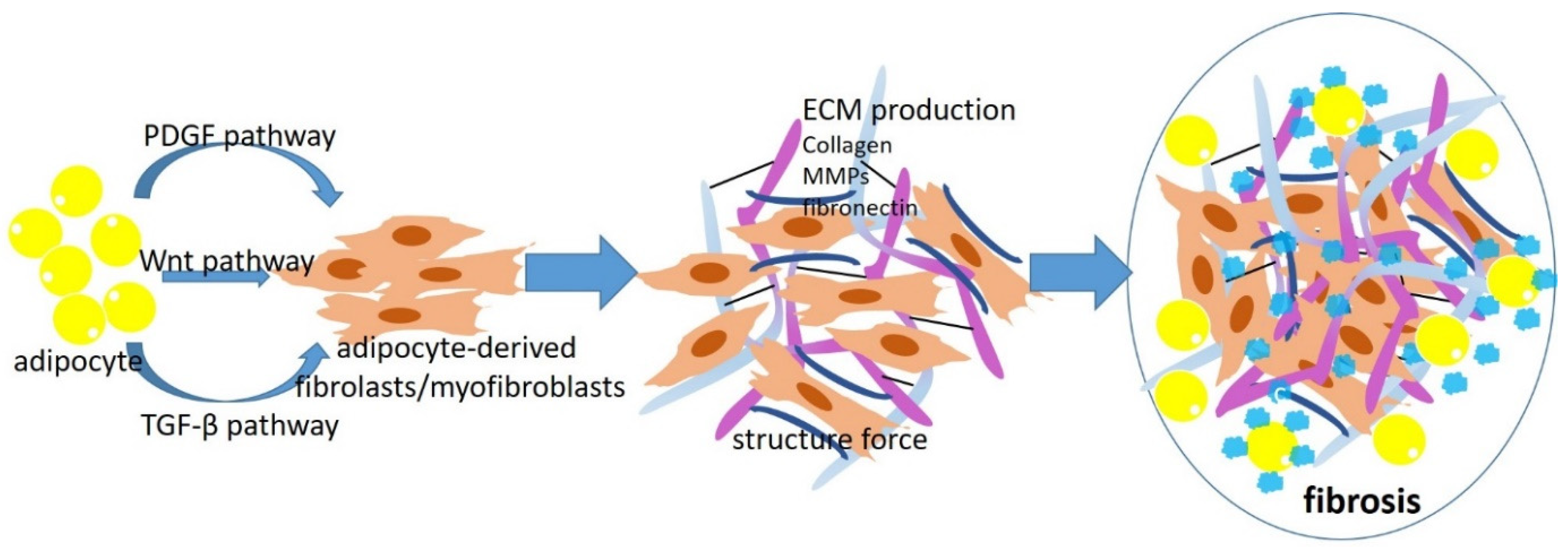 Cancers 14 05684 g001 Cancers 14 05684 g001