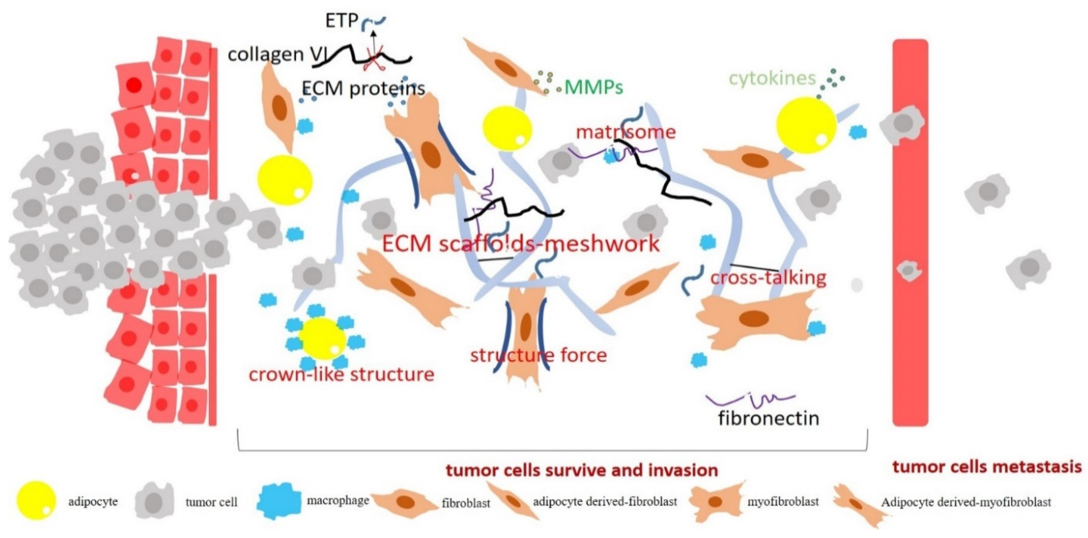 Cancers 14 05684 g002 Cancers 14 05684 g002