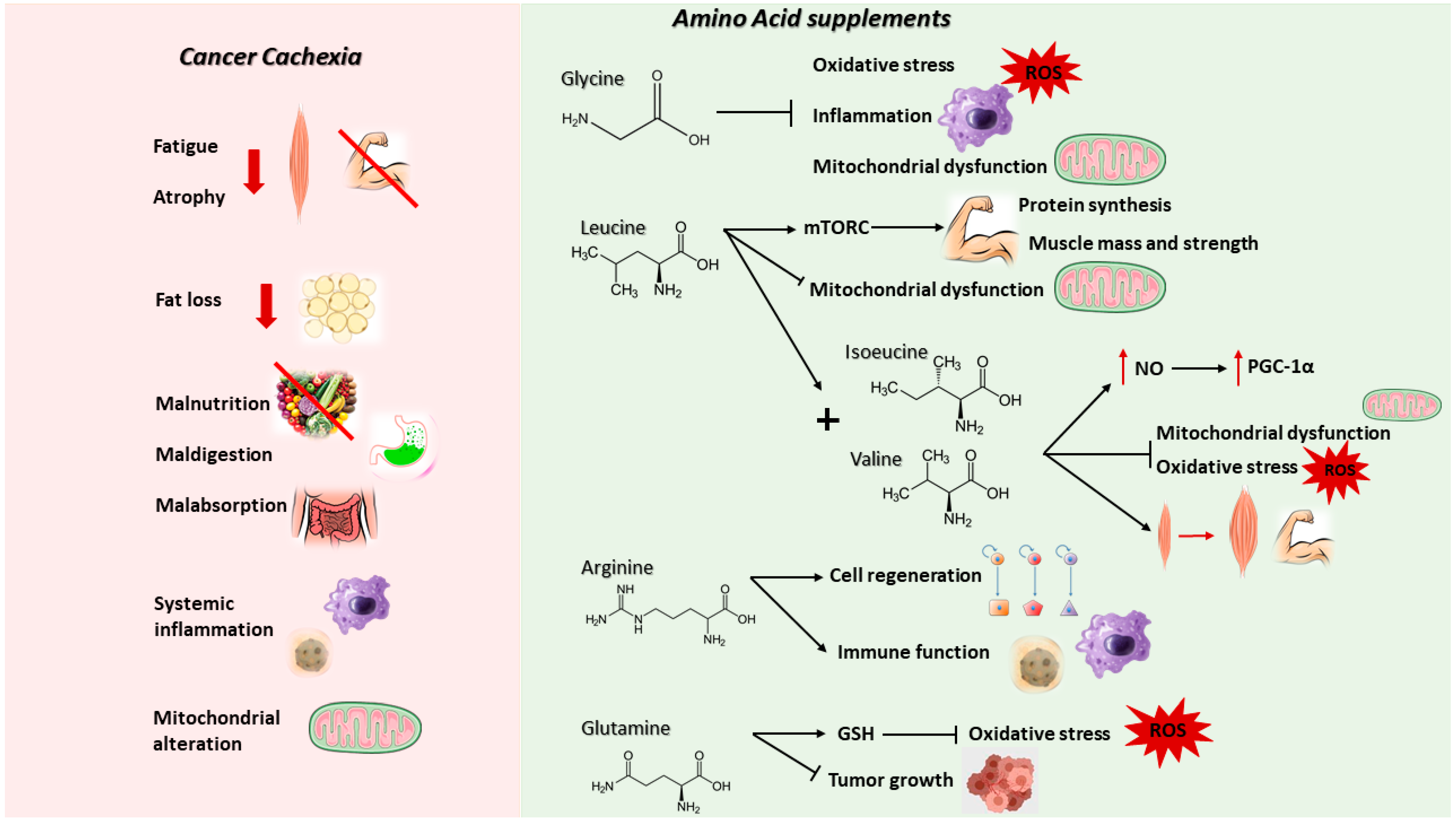 Cancers 14 05691 g003