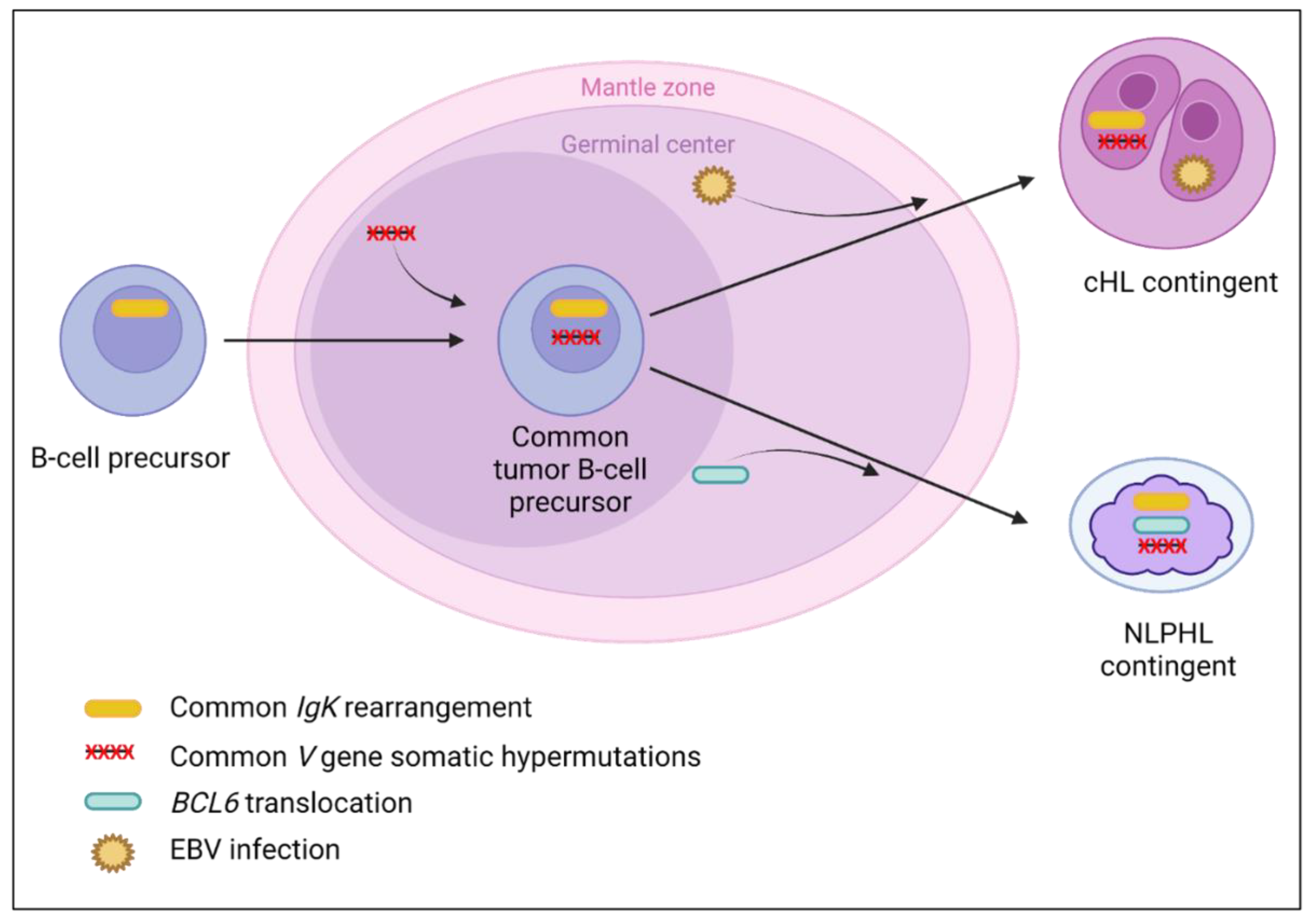 Cancers 14 05695 g005