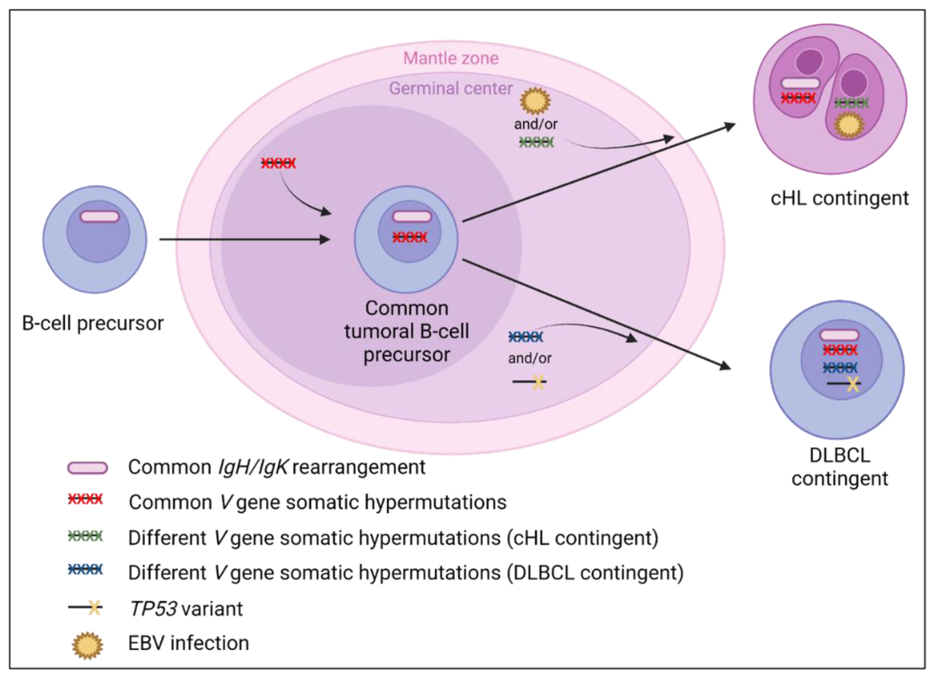 Cancers 14 05695 g006