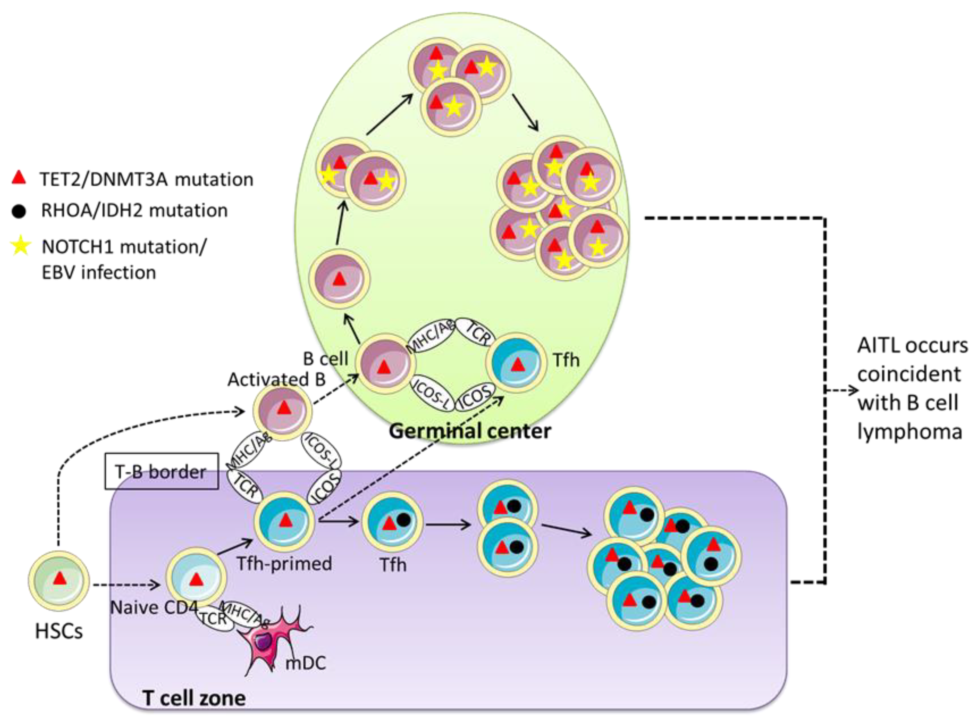 Cancers 14 05699 g003 Cancers 14 05699 g003