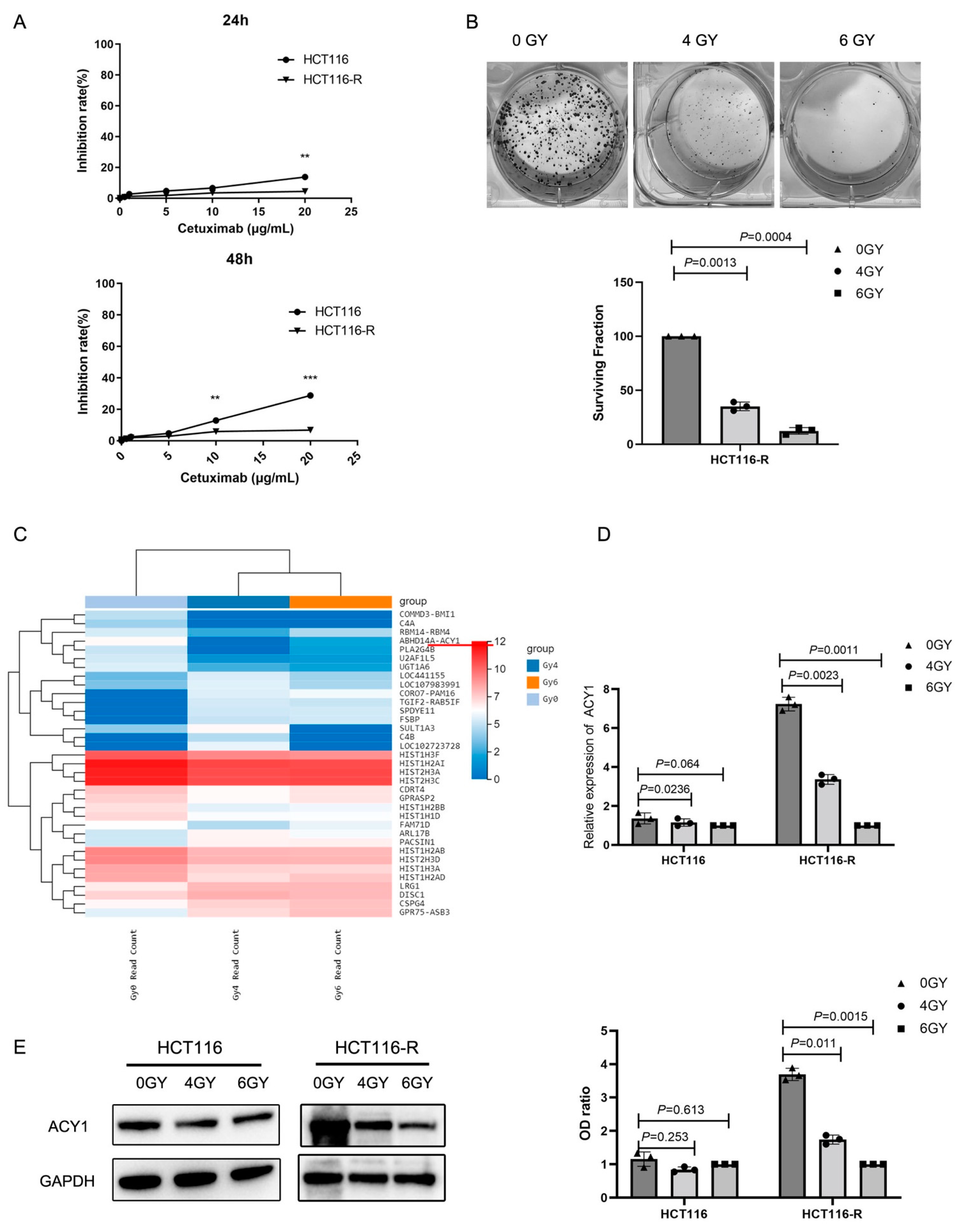 Cancers 14 05704 g001 Cancers 14 05704 g001