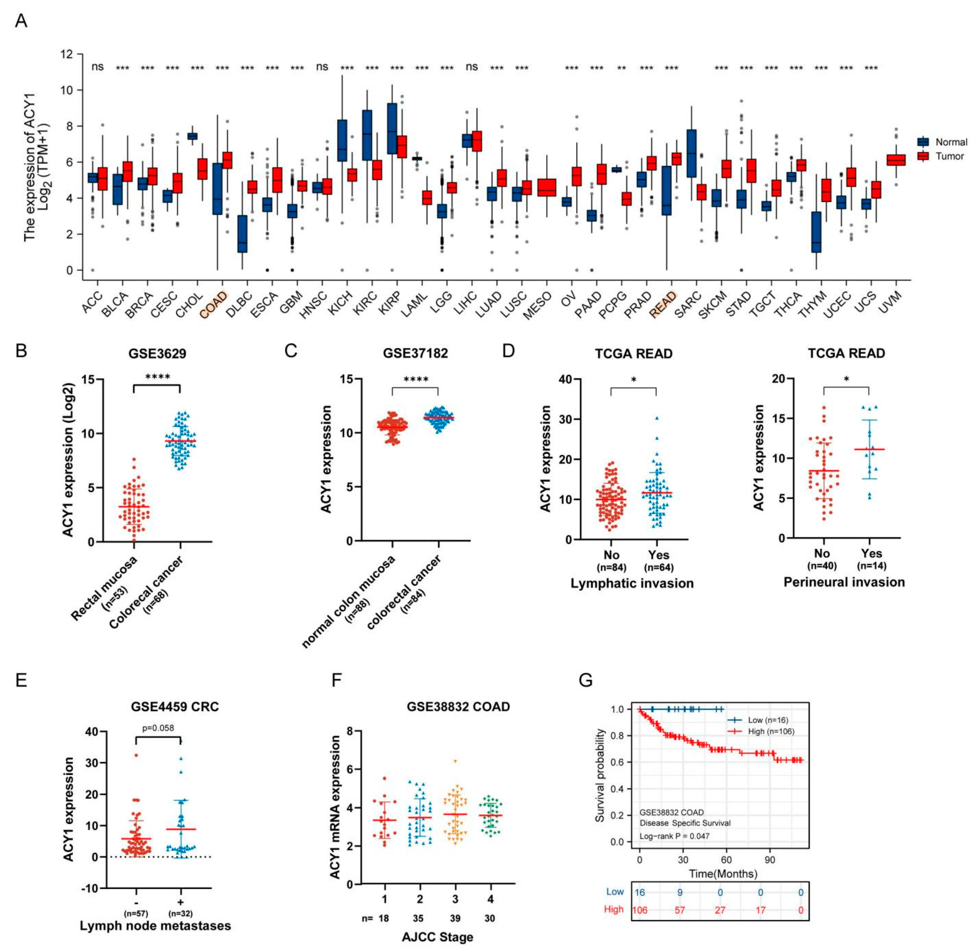Cancers 14 05704 g002 Cancers 14 05704 g002