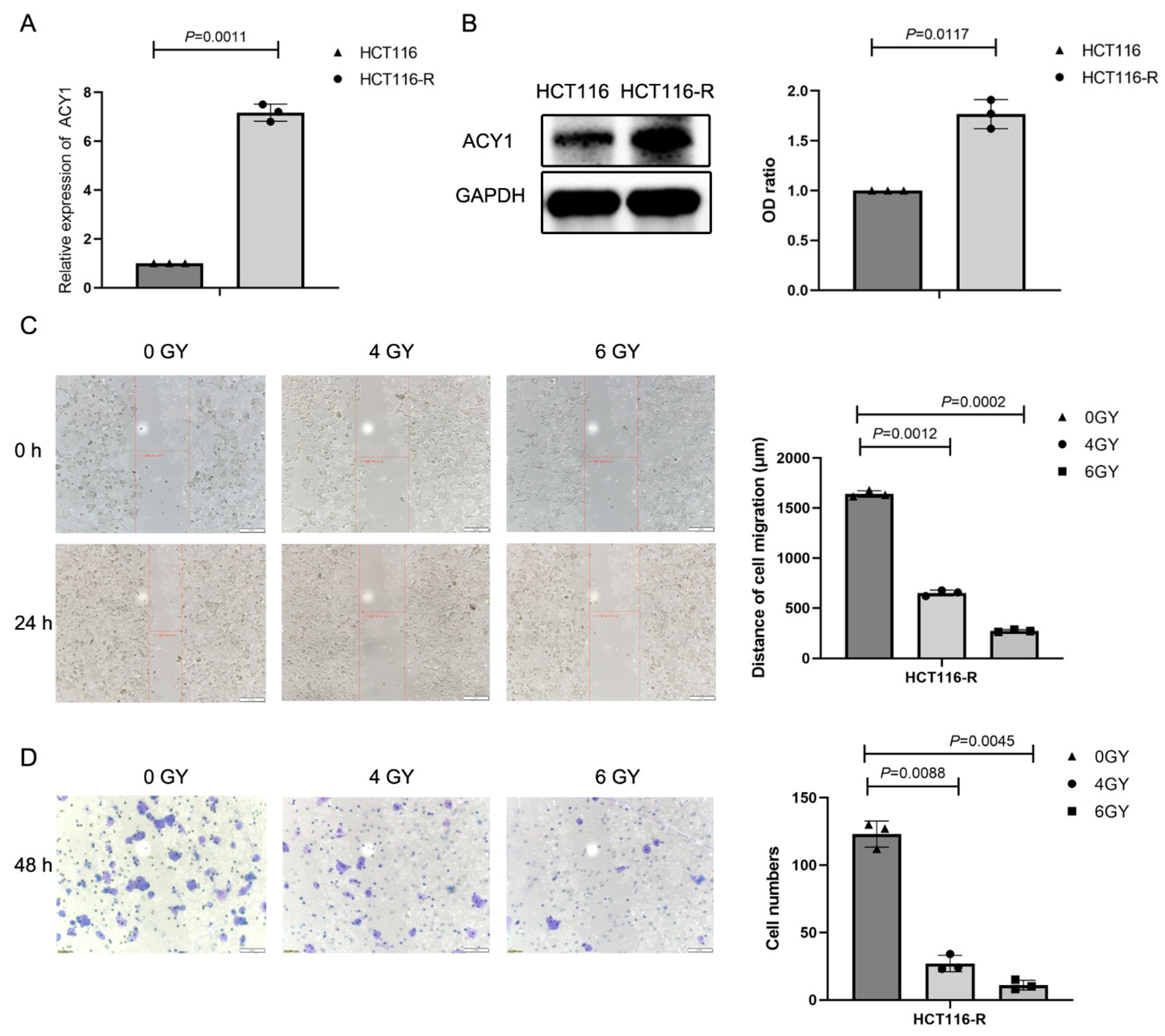 Cancers 14 05704 g005 Cancers 14 05704 g005