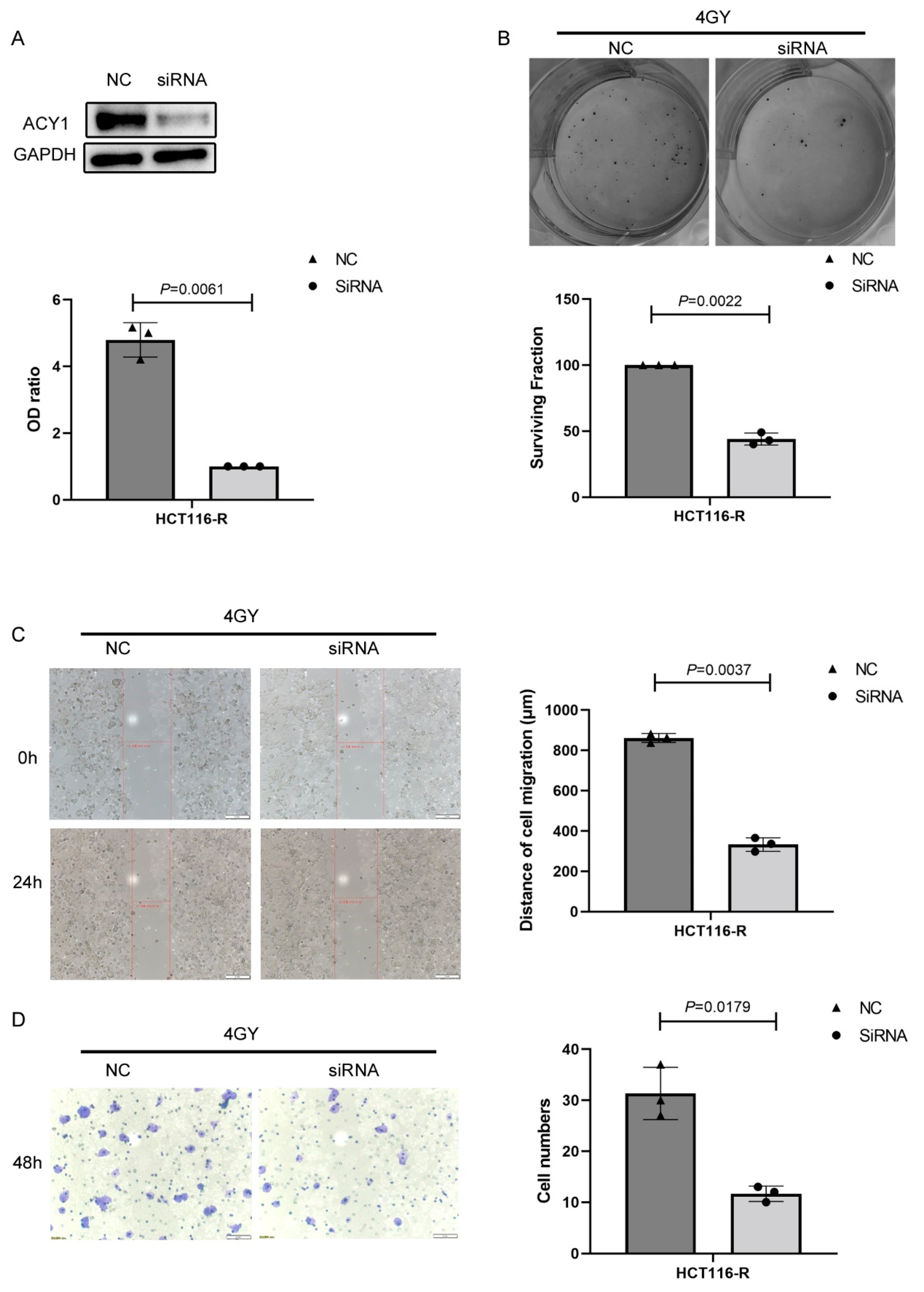 Cancers 14 05704 g006 Cancers 14 05704 g006