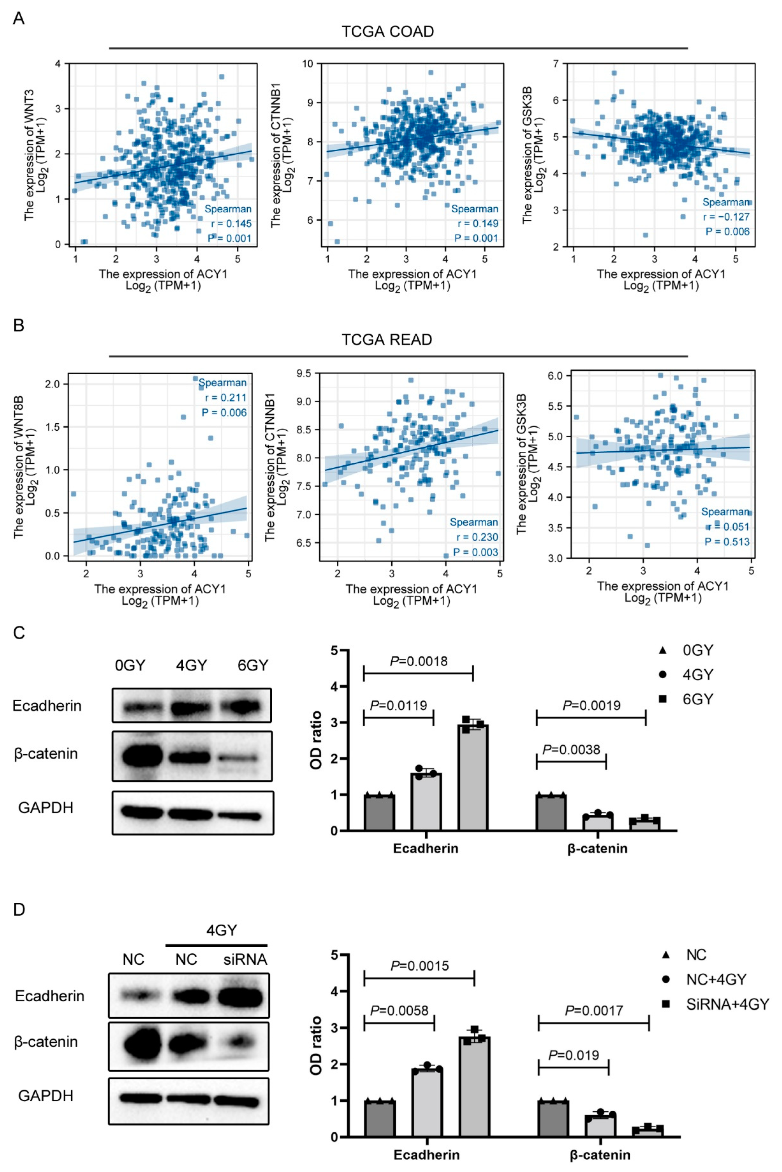 Cancers 14 05704 g007 Cancers 14 05704 g007