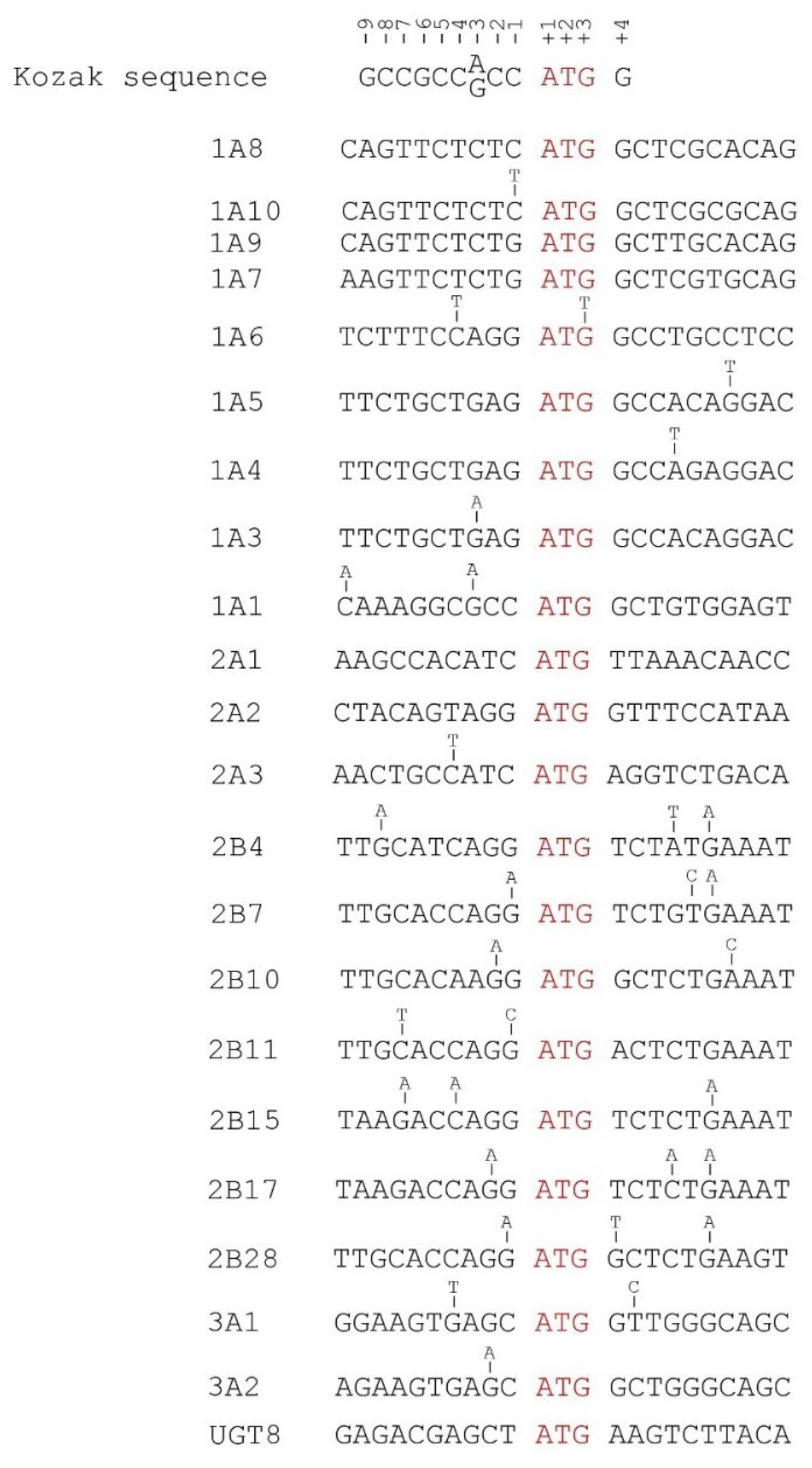 Cancers 14 05708 g006