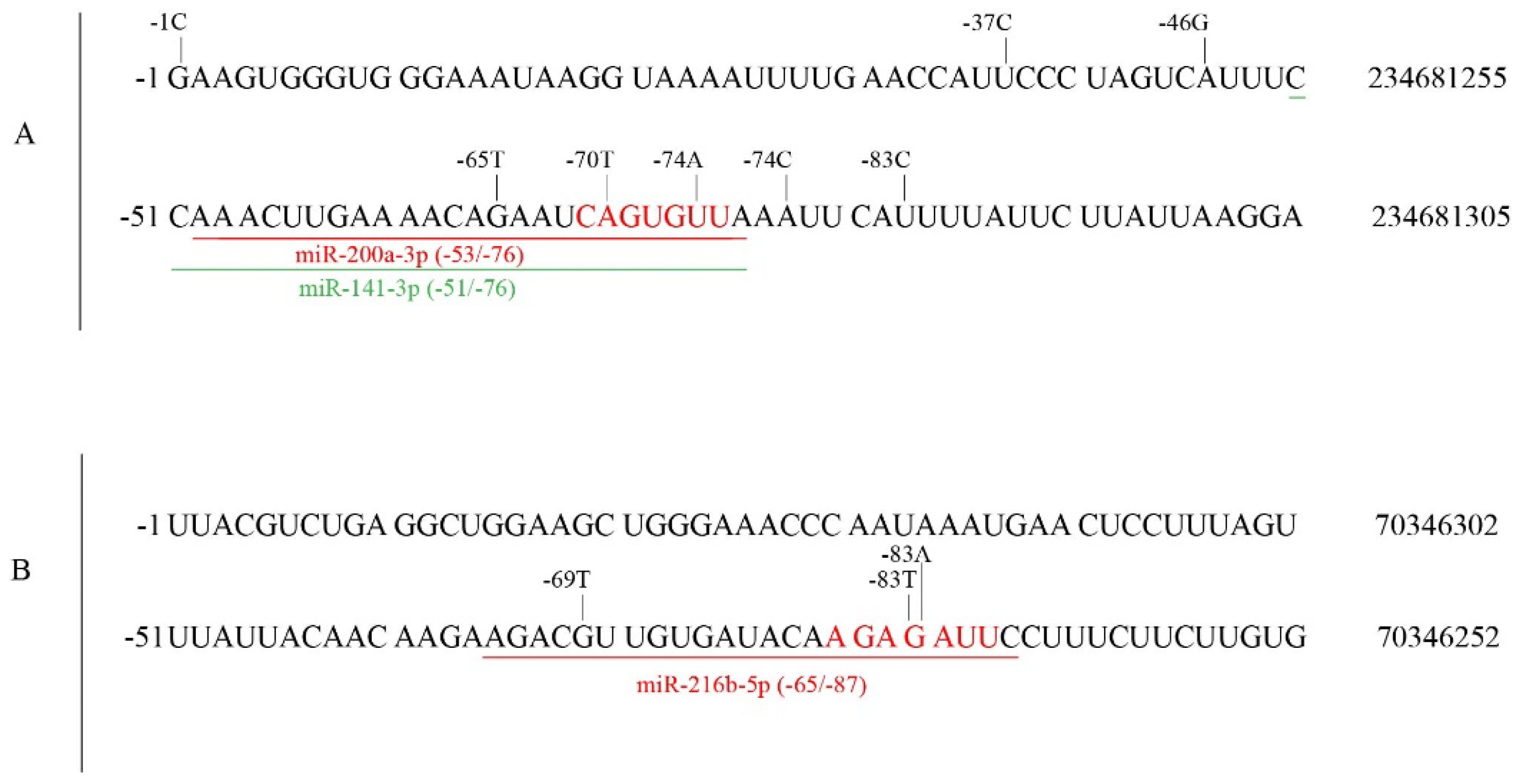 Cancers 14 05708 g007